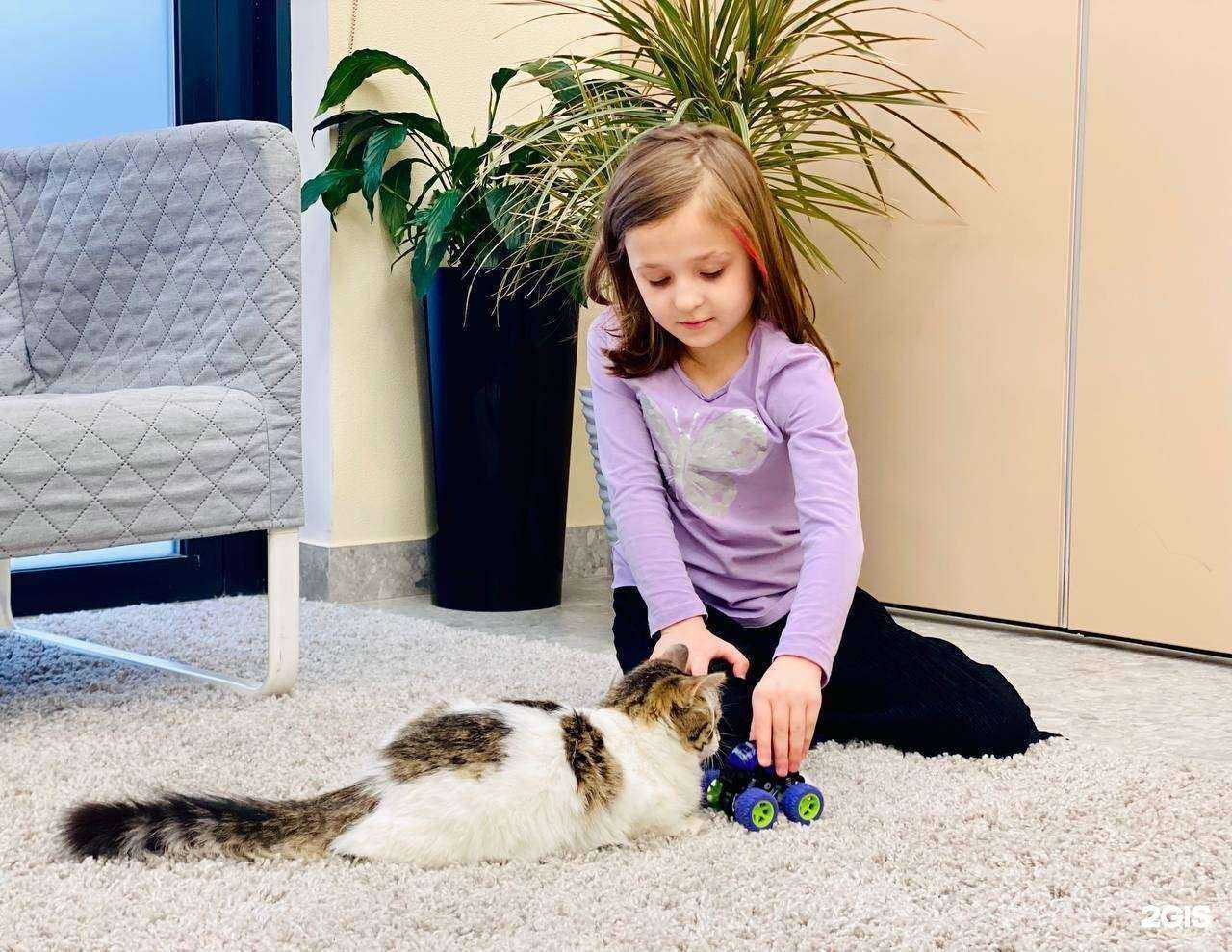 Отзывы на компанию Way-Up Kids в Екатеринбурге c фото