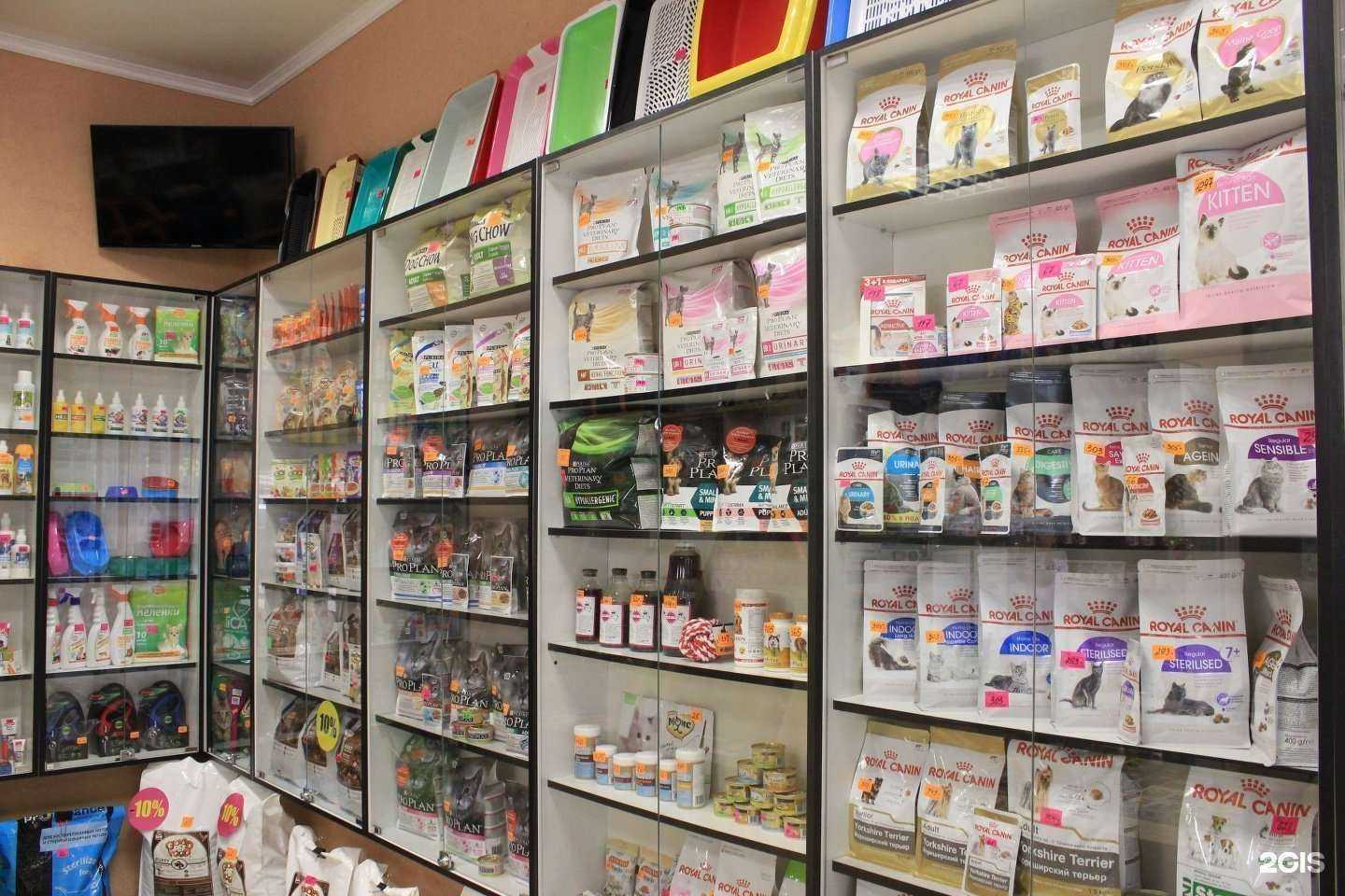 Отзывы на компанию Кот и Пёс в Калининграде c фото