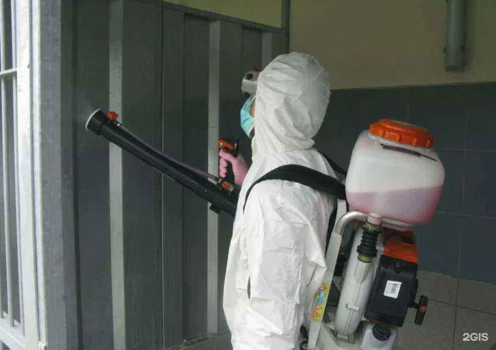 Отзывы на компанию Дезконтроль в Краснодаре c фото