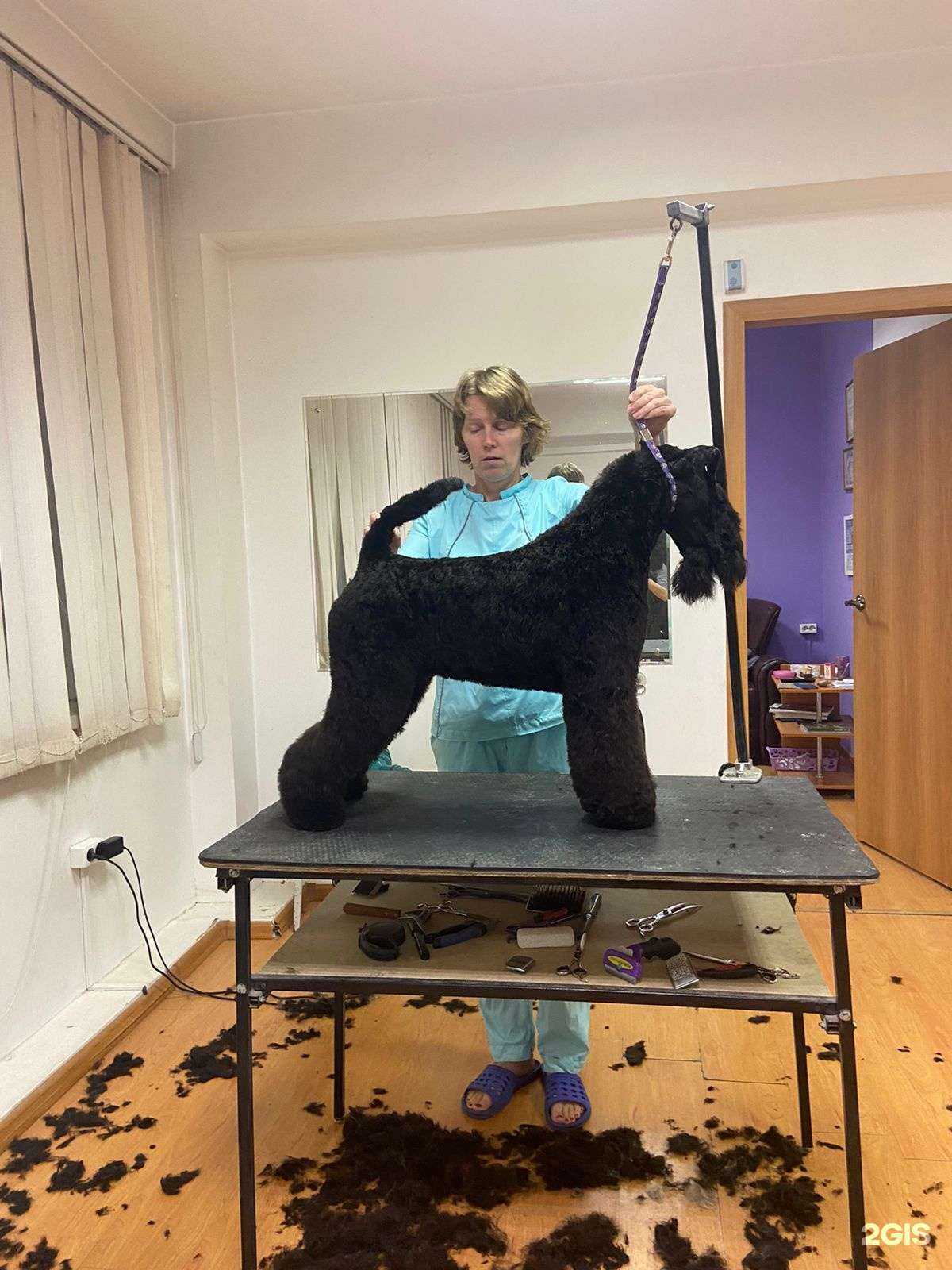 Отзывы на компанию Стриж в Иркутске c фото