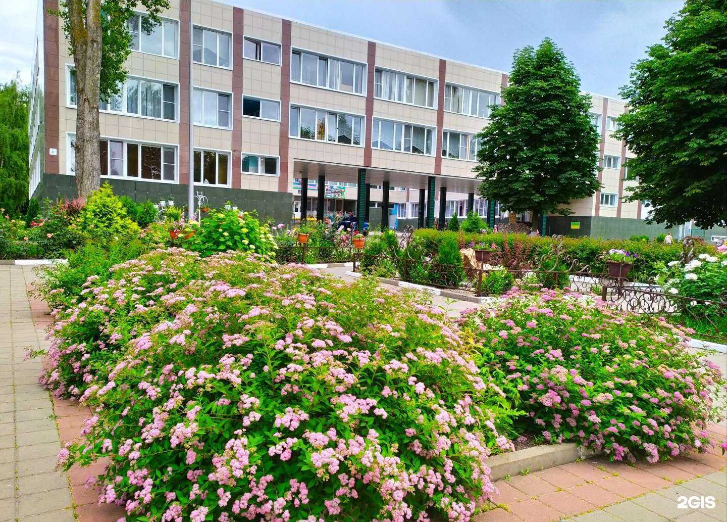 Отзывы на компанию Средняя школа №41 в Белгороде c фото