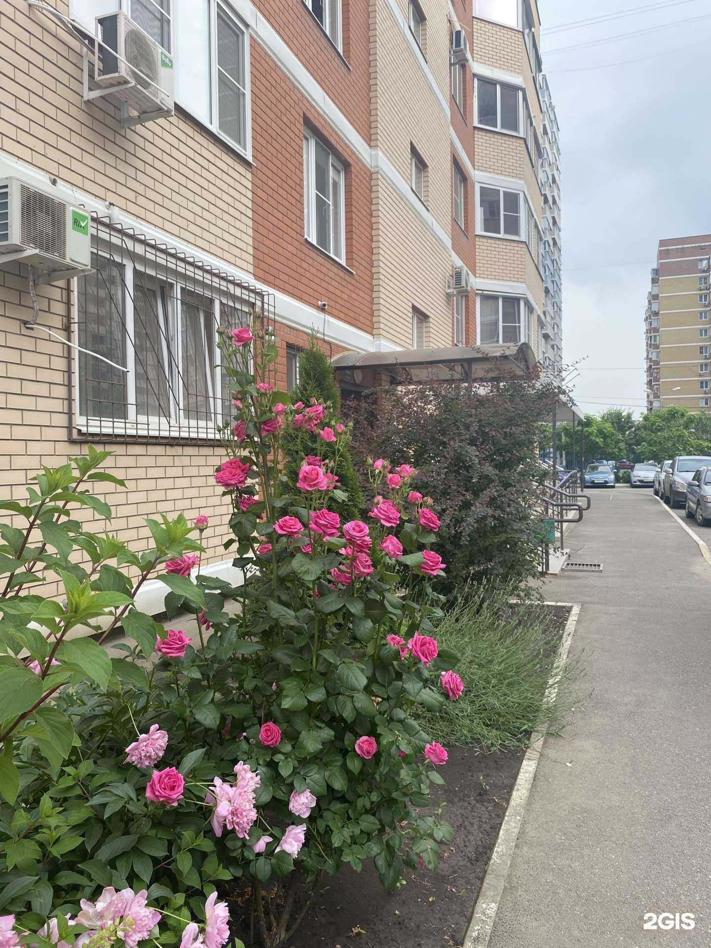 Отзывы на компанию Замуж в Краснодаре c фото - фотография 2 из 2