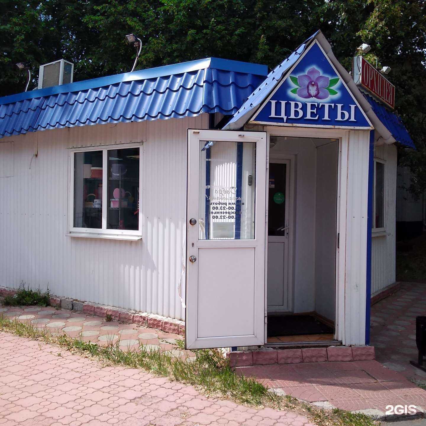 Отзывы на компанию Орхидея в Ульяновске c фото