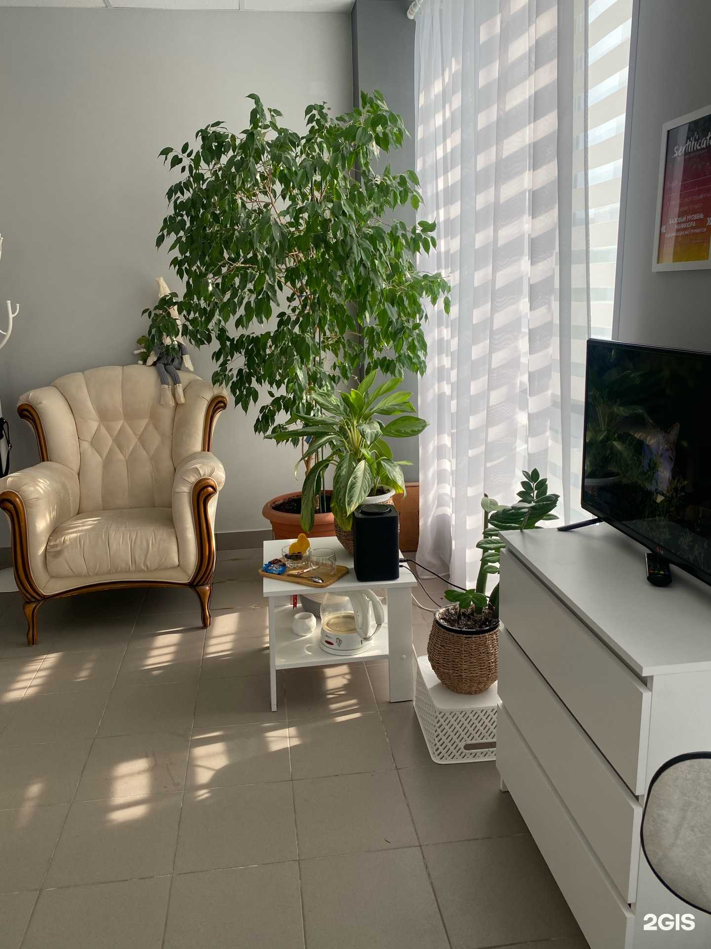 Отзывы на компанию Студия подологии и эстетики в Саратове c фото