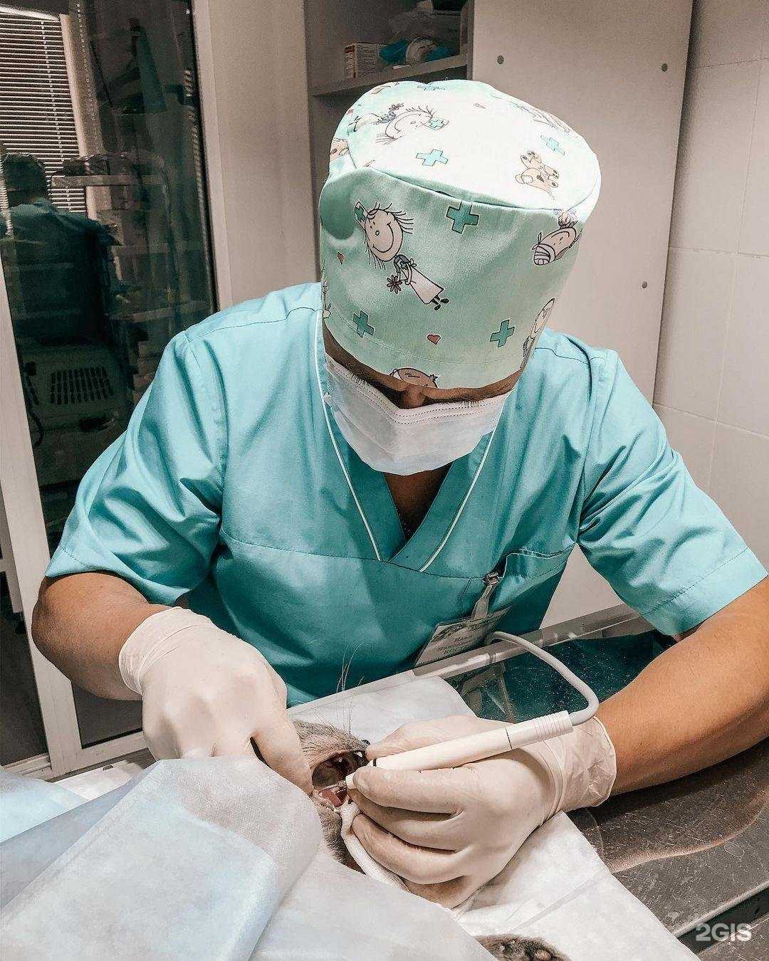 Отзывы на компанию Zooгурман в г. Томск c фото