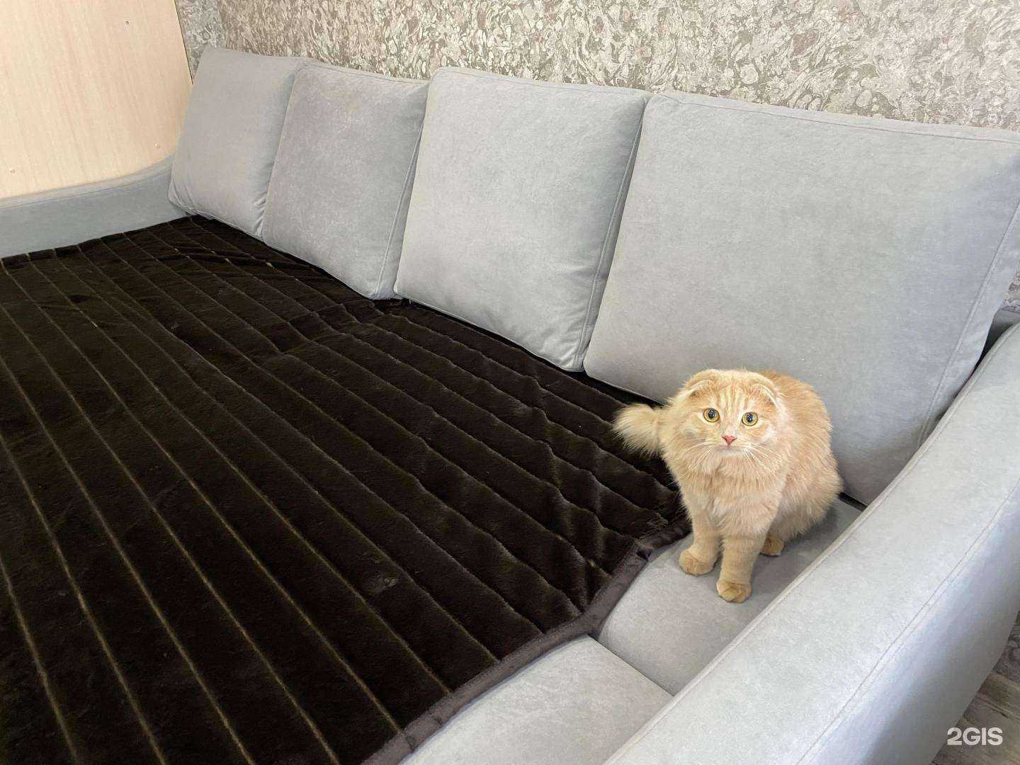 Отзывы на компанию Дивный мир в г. Воронеж c фото