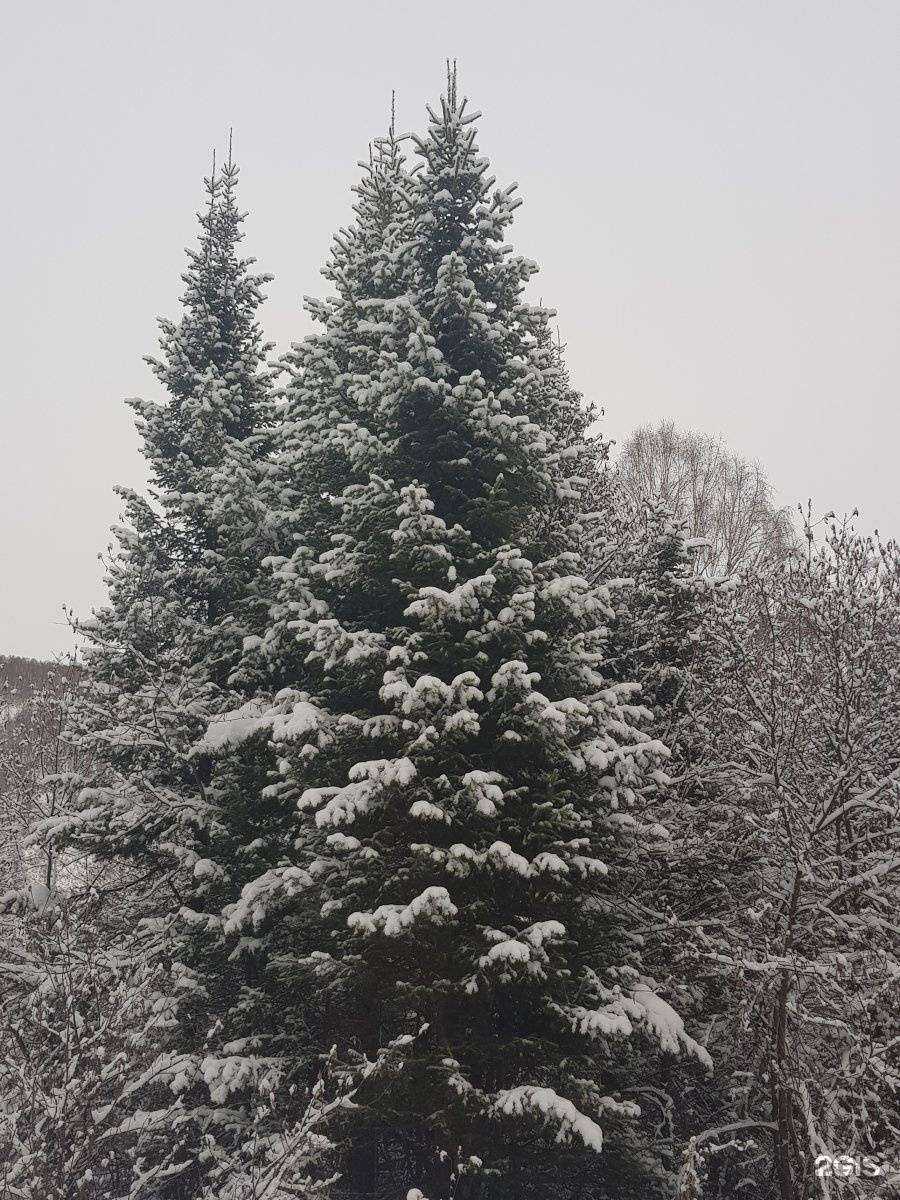 Отзывы на компанию СтройГарант в г. Барнаул c фото