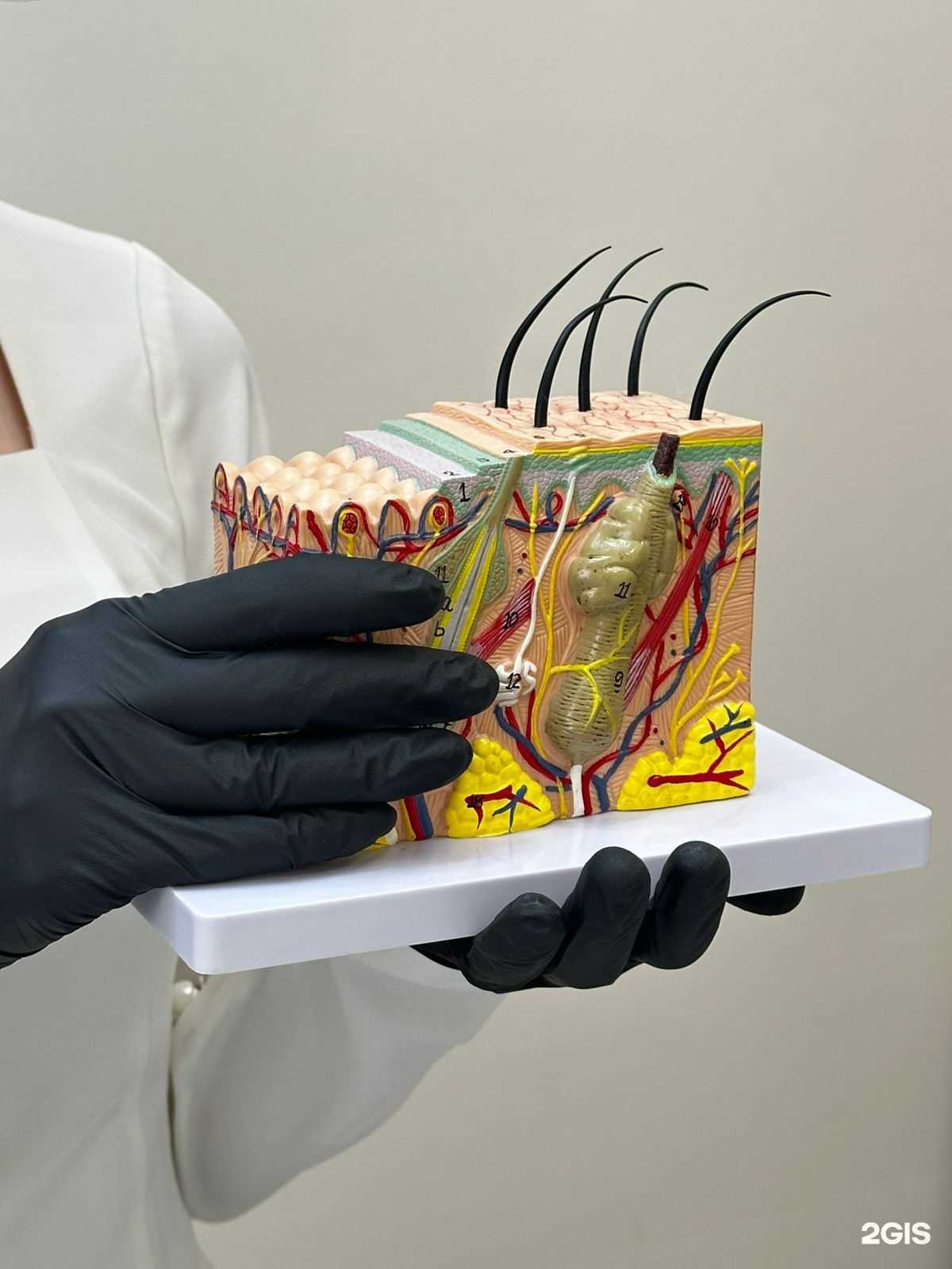 Отзывы на компанию AMEDICAL в Астрахани c фото