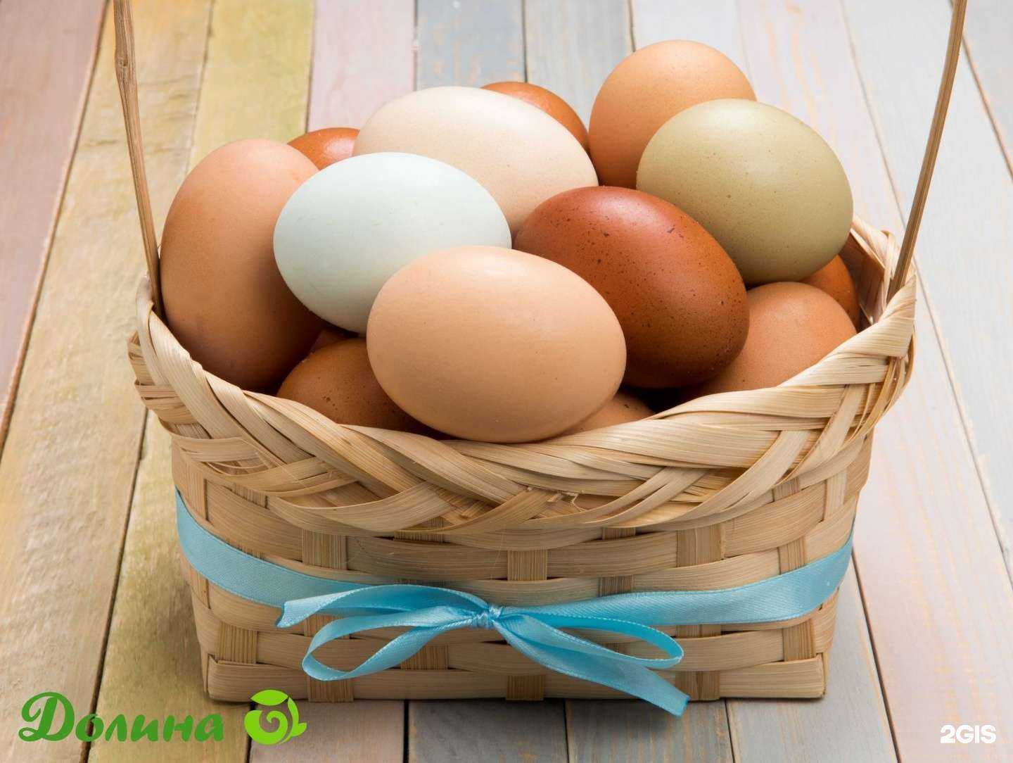 Отзывы на компанию Долина в г. Улан-Удэ c фото