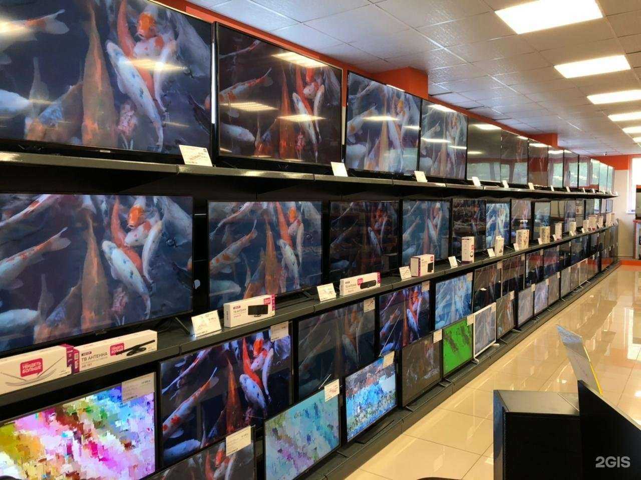 Отзывы на компанию DNS в Сызрани c фото