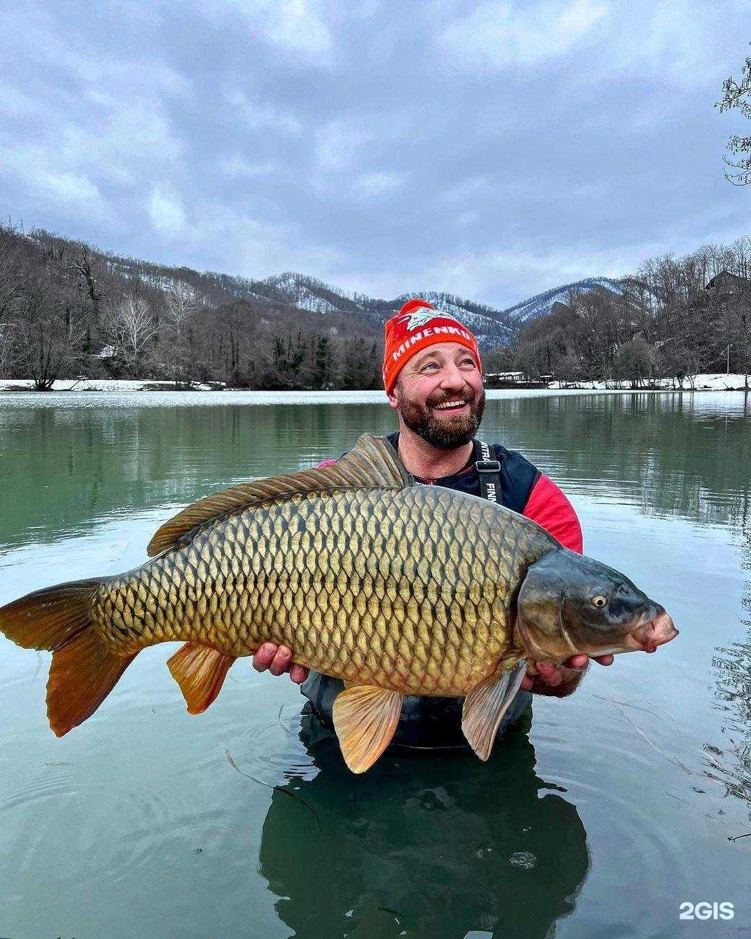 Отзывы на компанию Minenko в Краснодаре c фото
