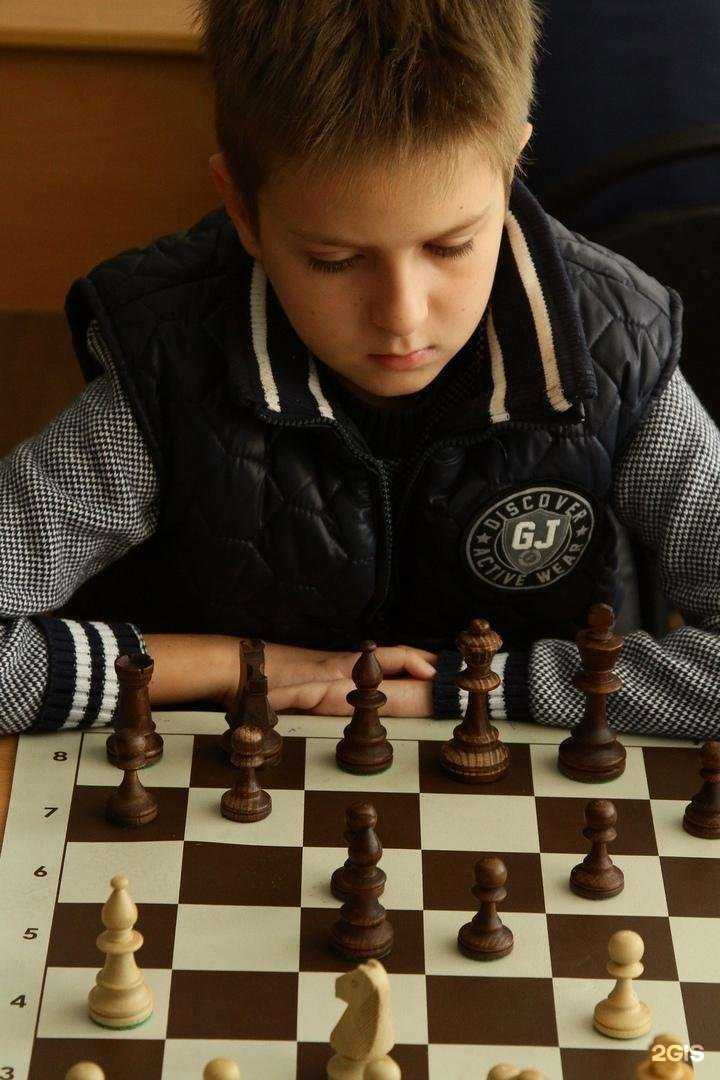 Отзывы на компанию Шахматный клуб в Ульяновске c фото