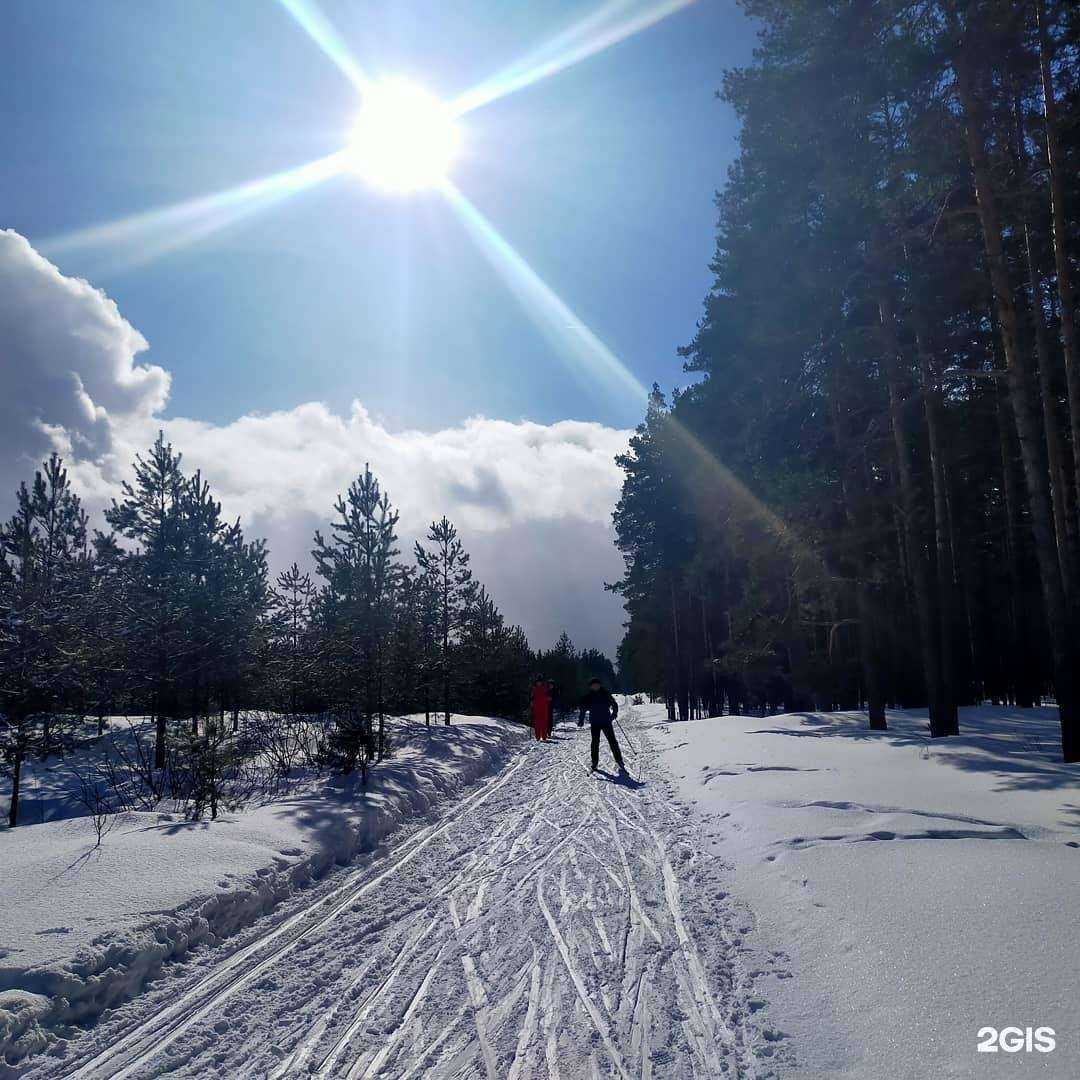 Отзывы на компанию Компания по аренде спортивного инвентаря и товаров для реабилитации в г. Нижний Новгород c фото