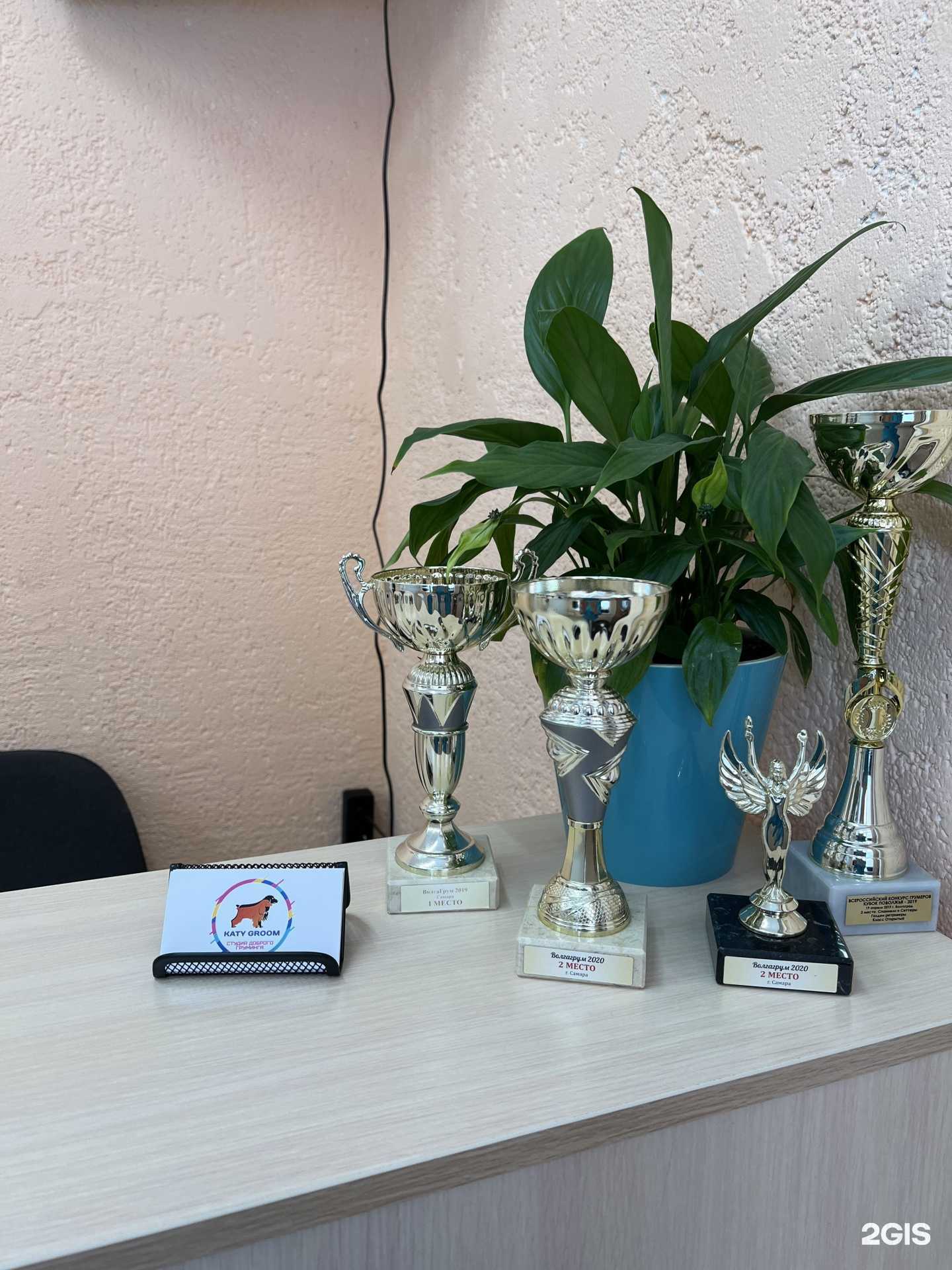 Отзывы на компанию Katy groom в Тольятти c фото