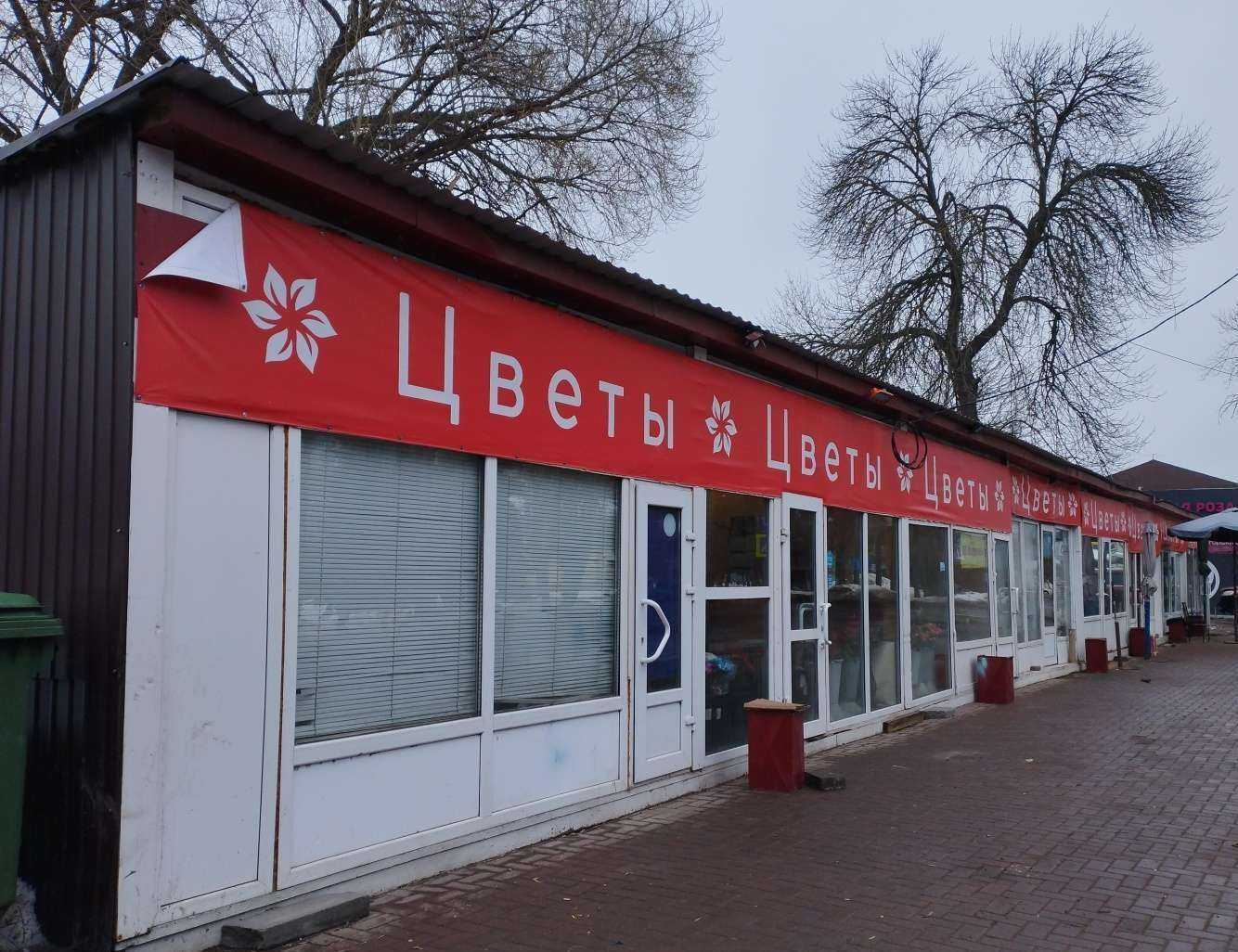 Отзывы на компанию Магазин цветов в Нижнем Новгороде c фото - фотография 2 из 2