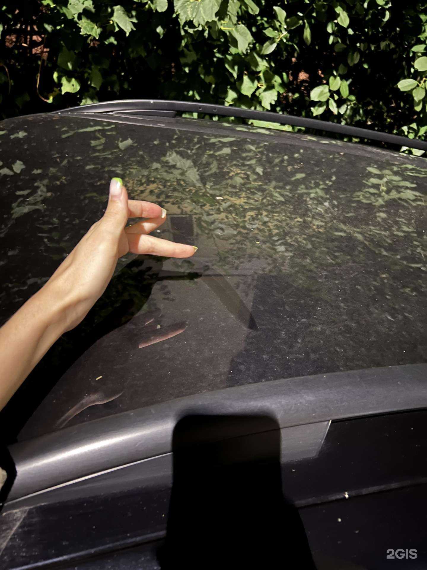 Отзывы на компанию Asphalt в Чебоксарах c фото