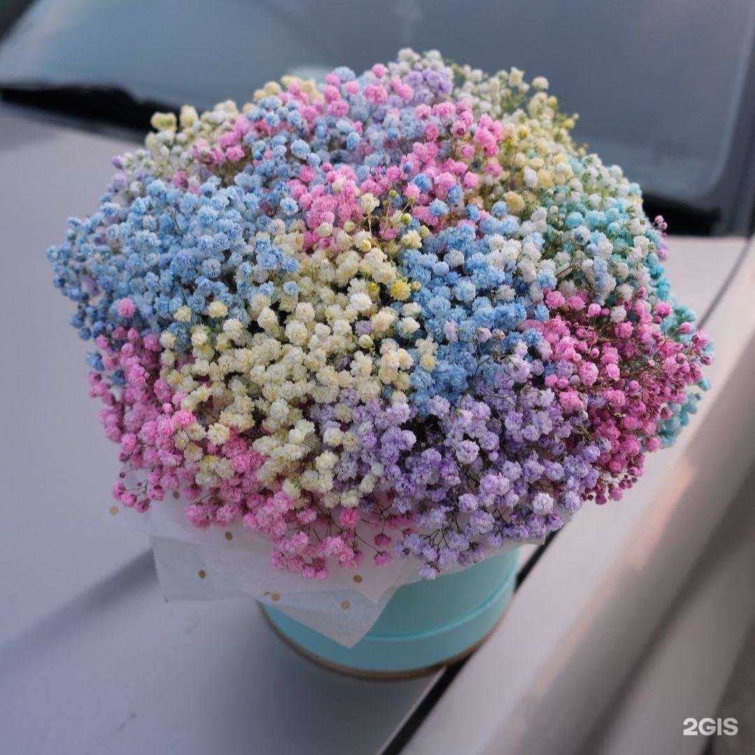 Отзывы на компанию Цветочный на Фрегате в г. Владивосток c фото