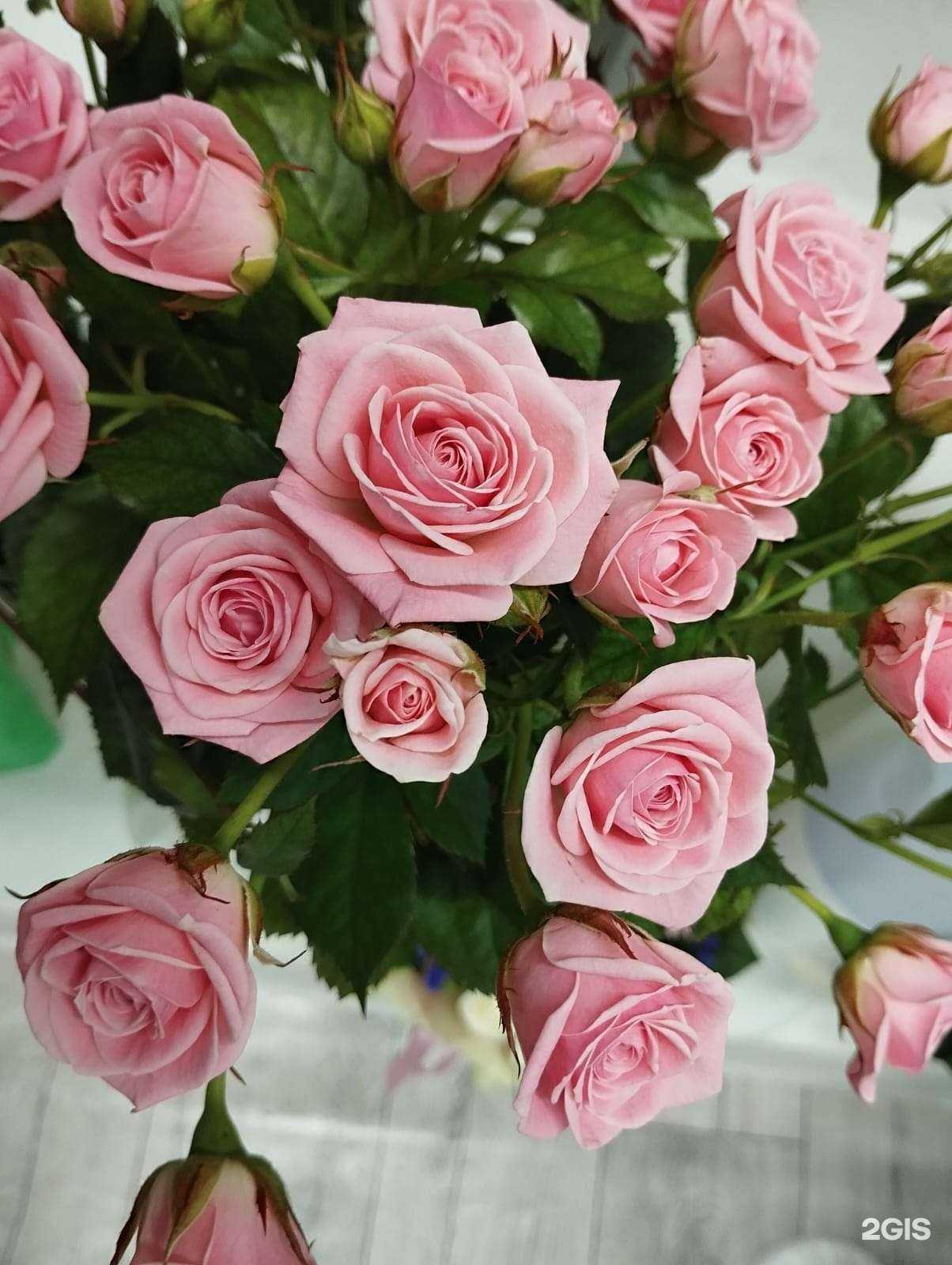 Отзывы на компанию Волшебный букет в Барнауле c фото