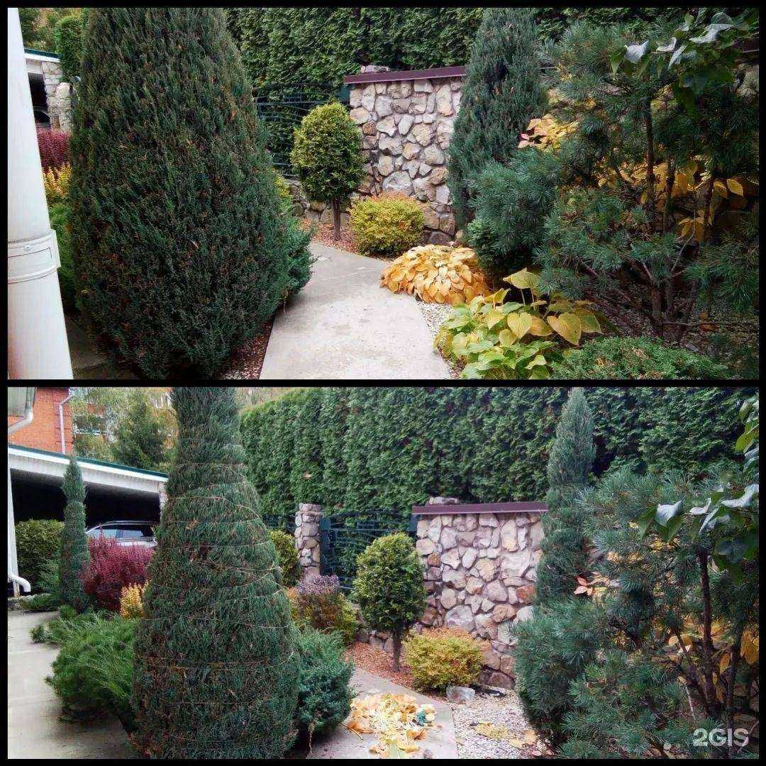 Отзывы на компанию Садовая гармония в Воронеже c фото