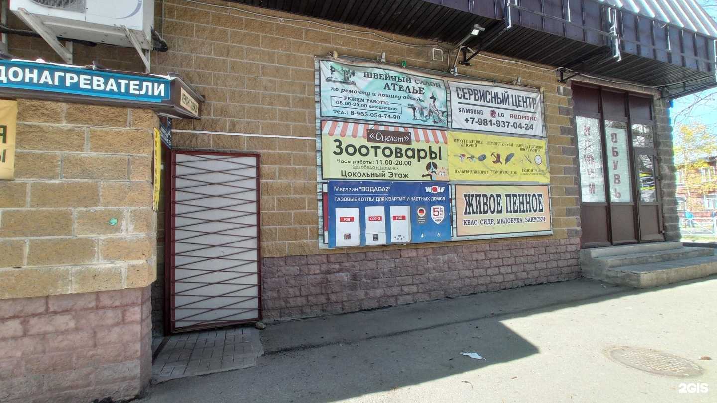 Отзывы на компанию Оцелот в Гатчине c фото