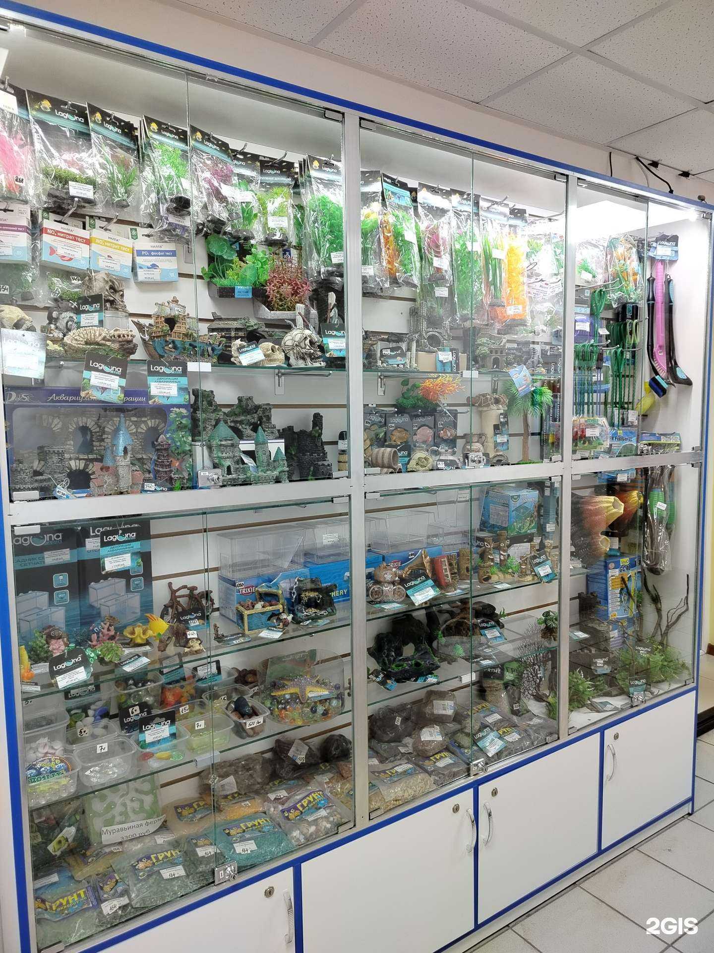 Отзывы на компанию Zooмир в Оренбурге c фото