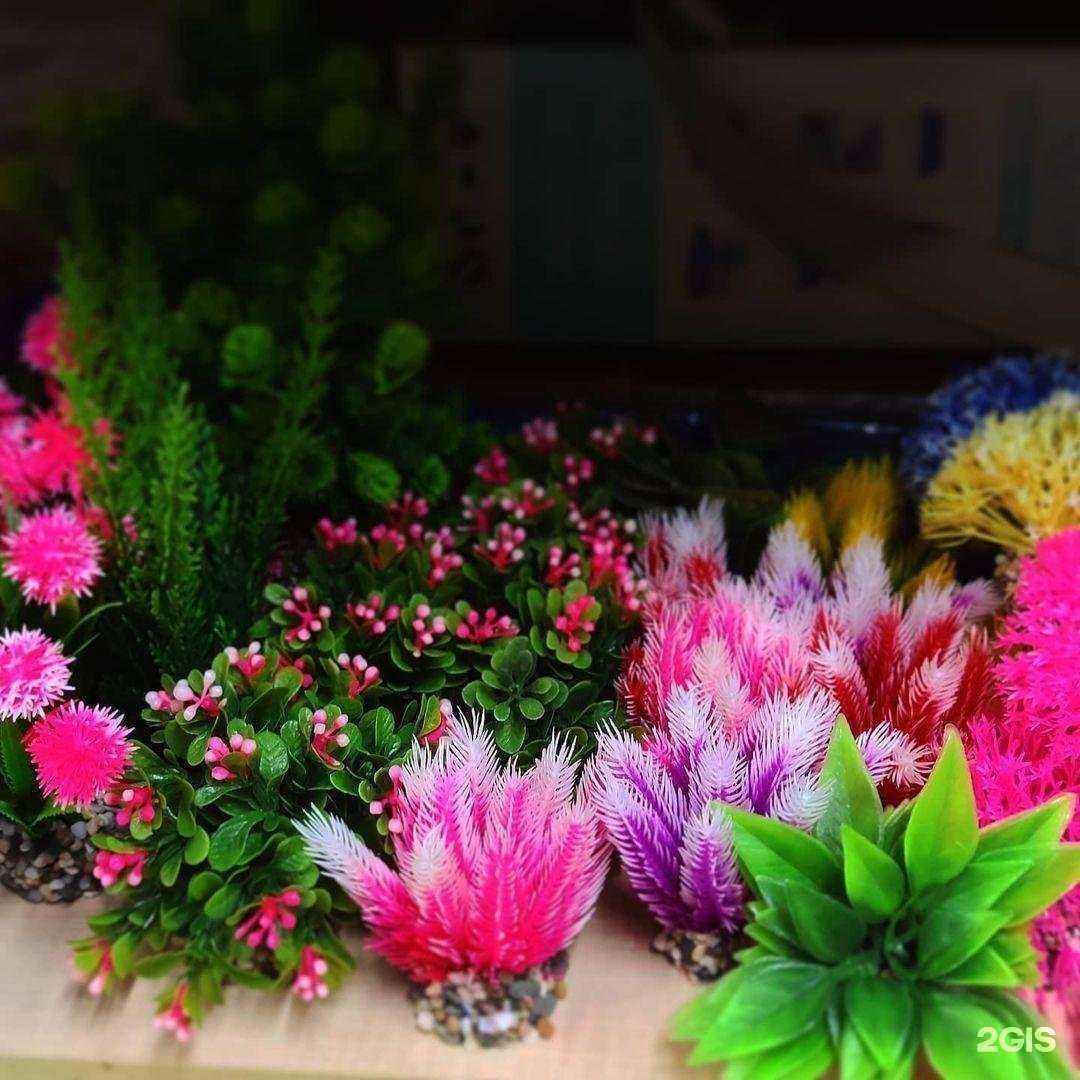 Отзывы на компанию ЗооМИР в Махачкале c фото