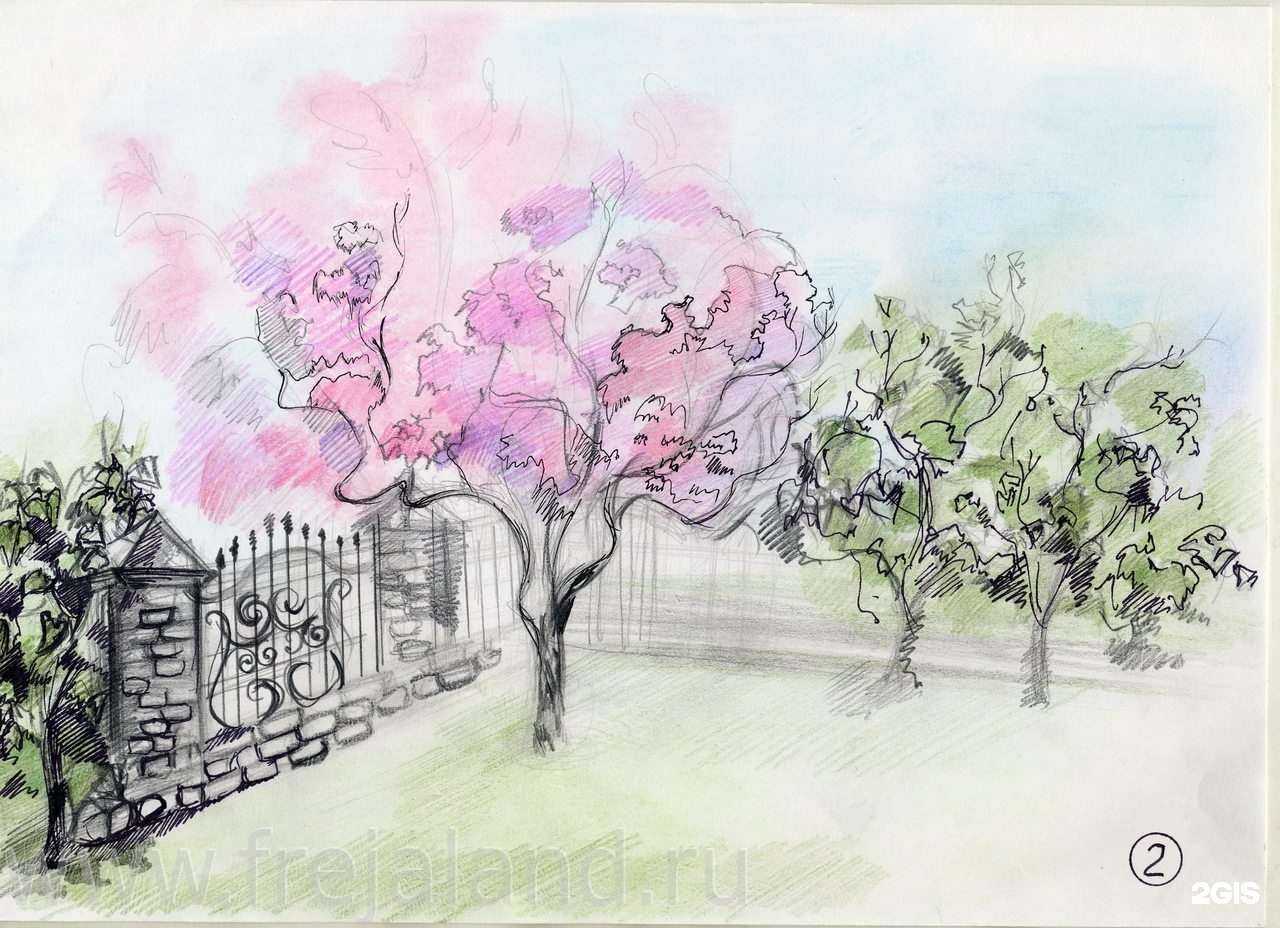 Отзывы на компанию Фрея в Кирове c фото