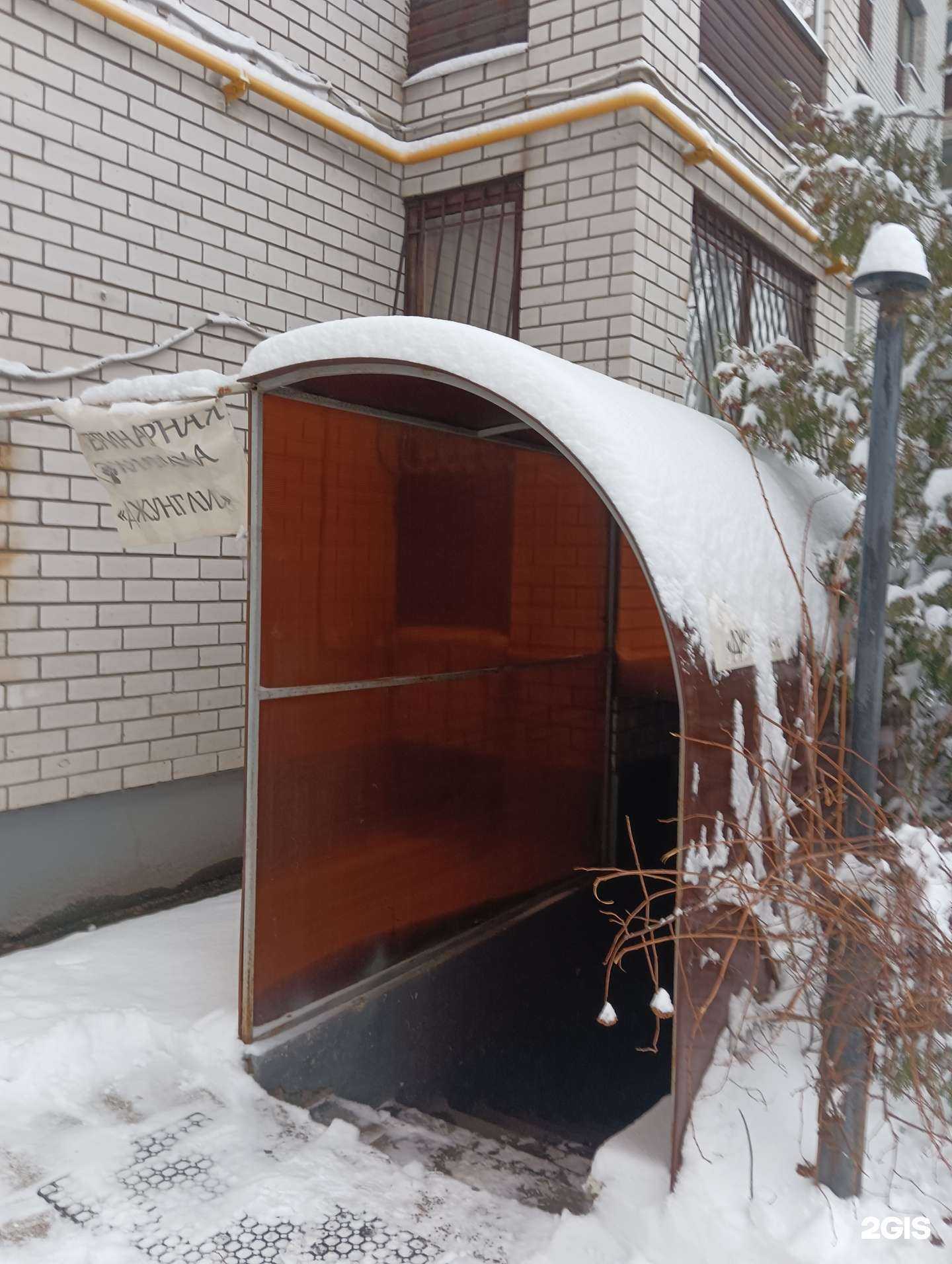 Отзывы на компанию Джунгли в г. Казань c фото