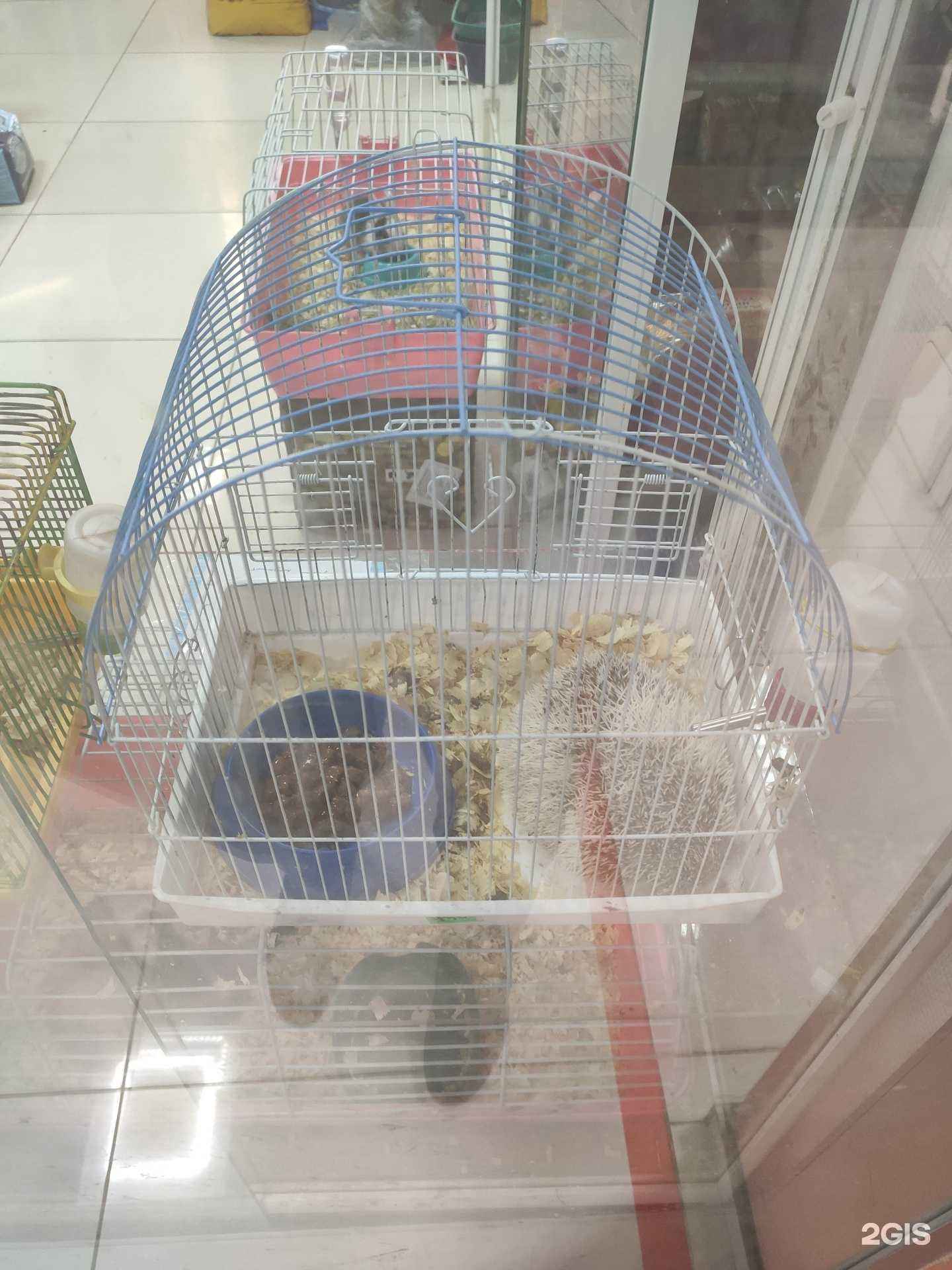 Отзывы на компанию Любимчик в Якутске c фото