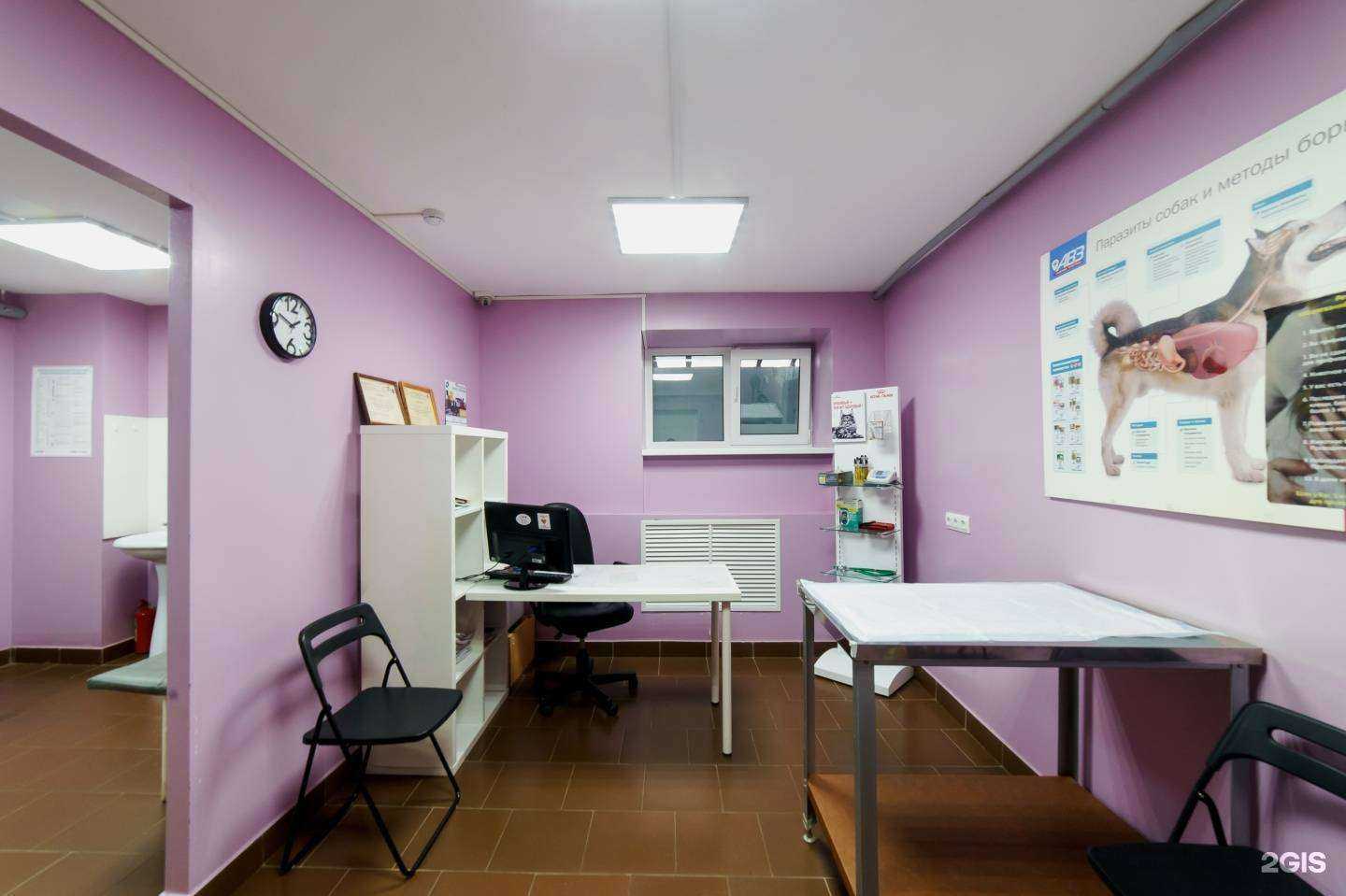 Отзывы на компанию Кот Матроскин в Нижнем Новгороде c фото