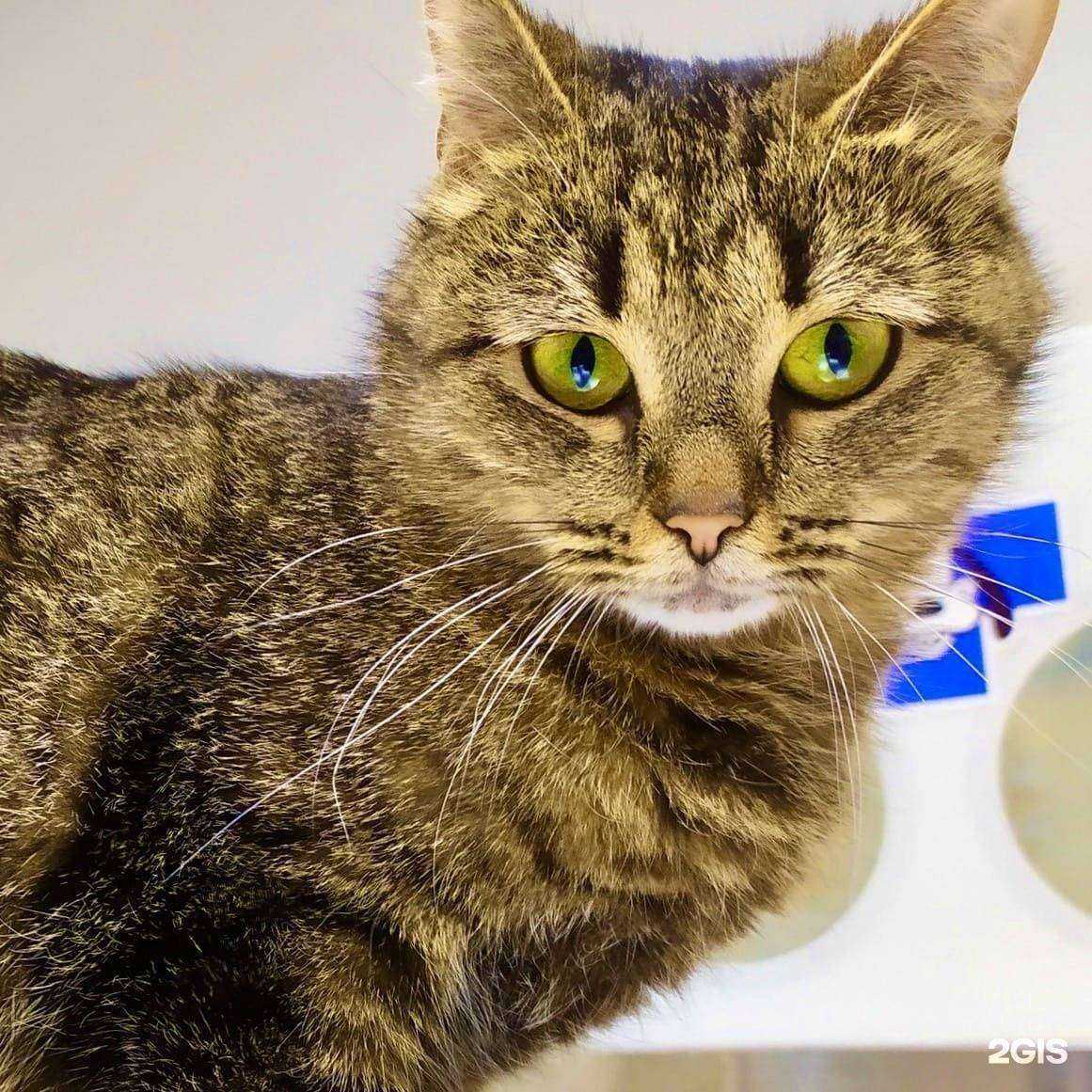 Отзывы на компанию ГУФФИ в Ижевске c фото