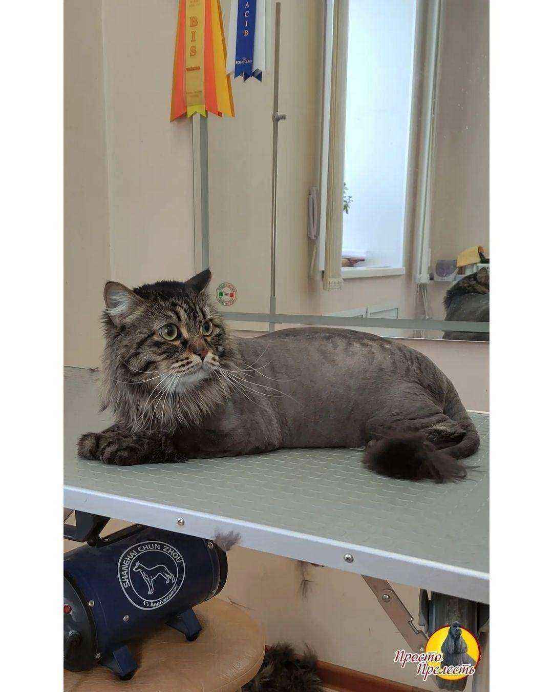 Отзывы на компанию Просто прелесть в Каменске-Уральском c фото