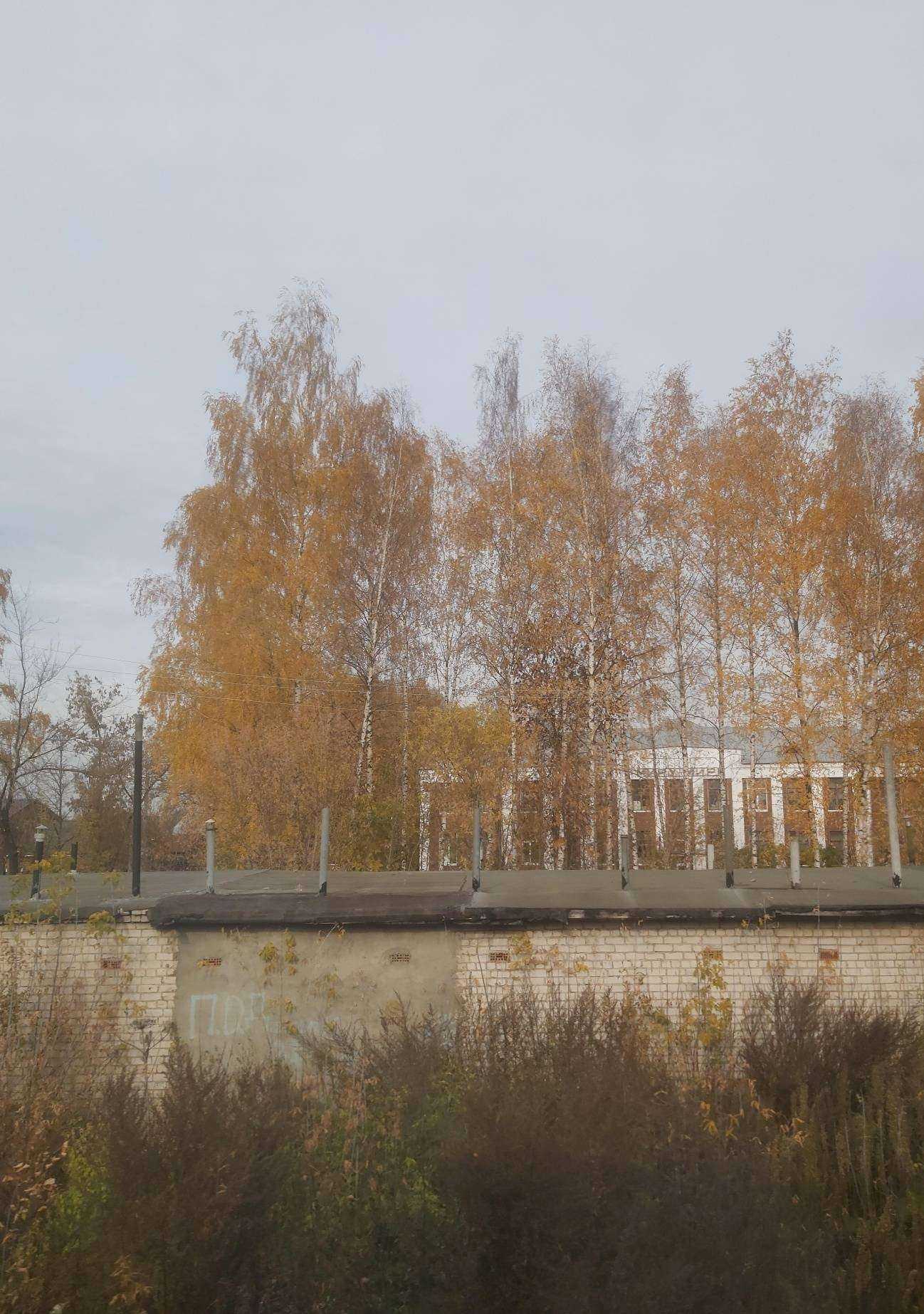 Отзывы на компанию Средняя школа №11 в Иванове c фото