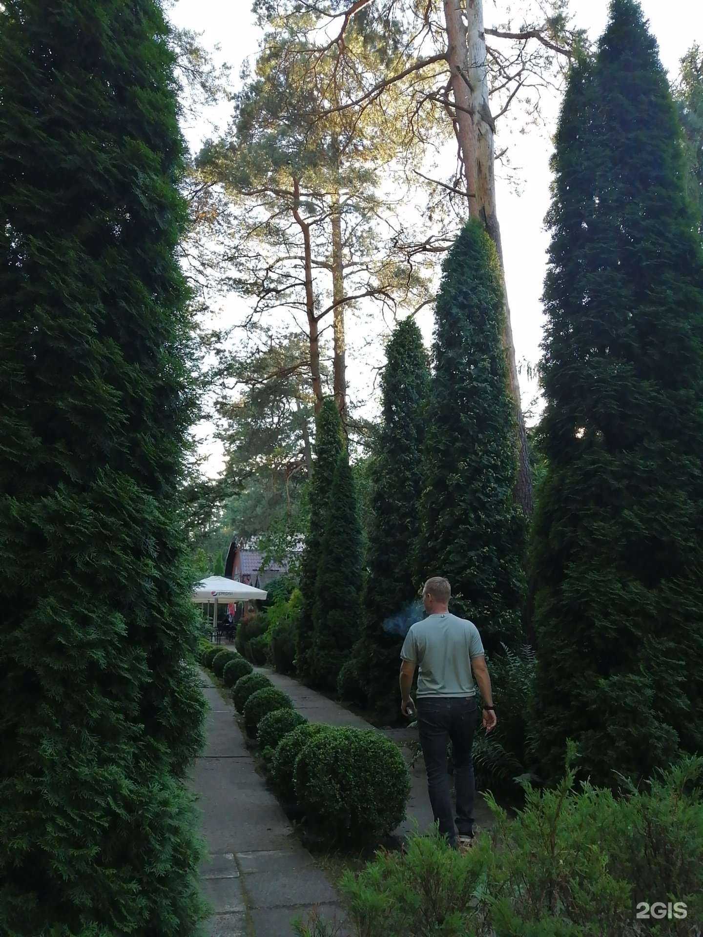 Отзывы на компанию Форто Ранта Рой Джой в Калининграде c фото