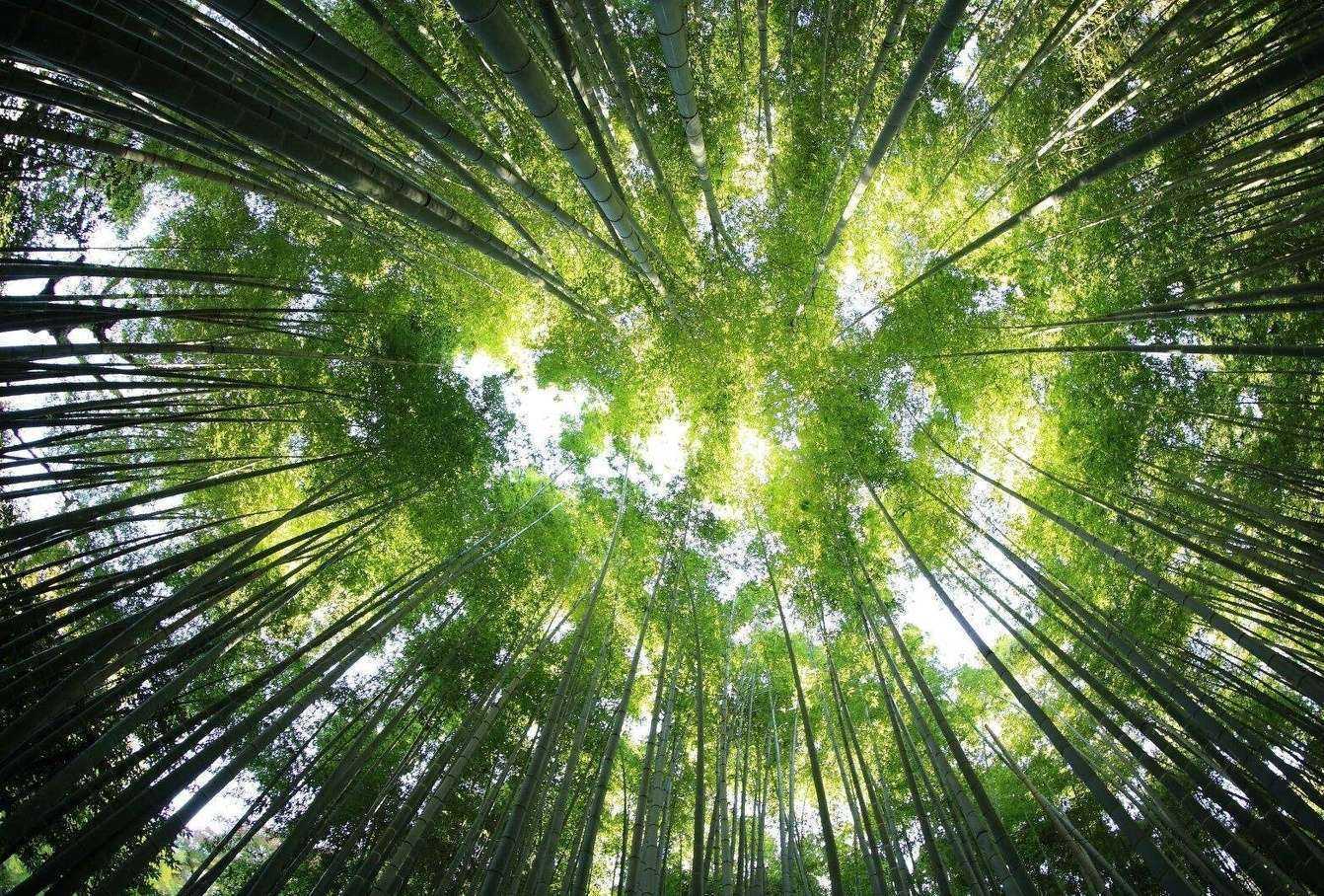 Отзывы на компанию Никапанелс в г. Вологда c фото