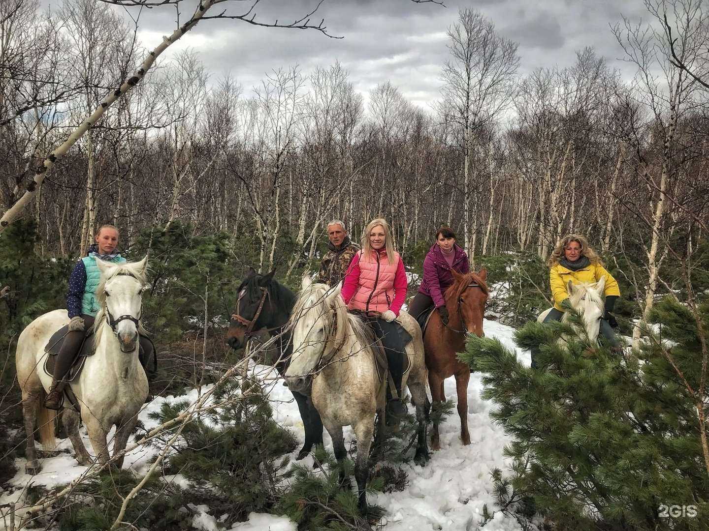 Отзывы на компанию Кавалькада в г. Петропавловск-Камчатский c фото