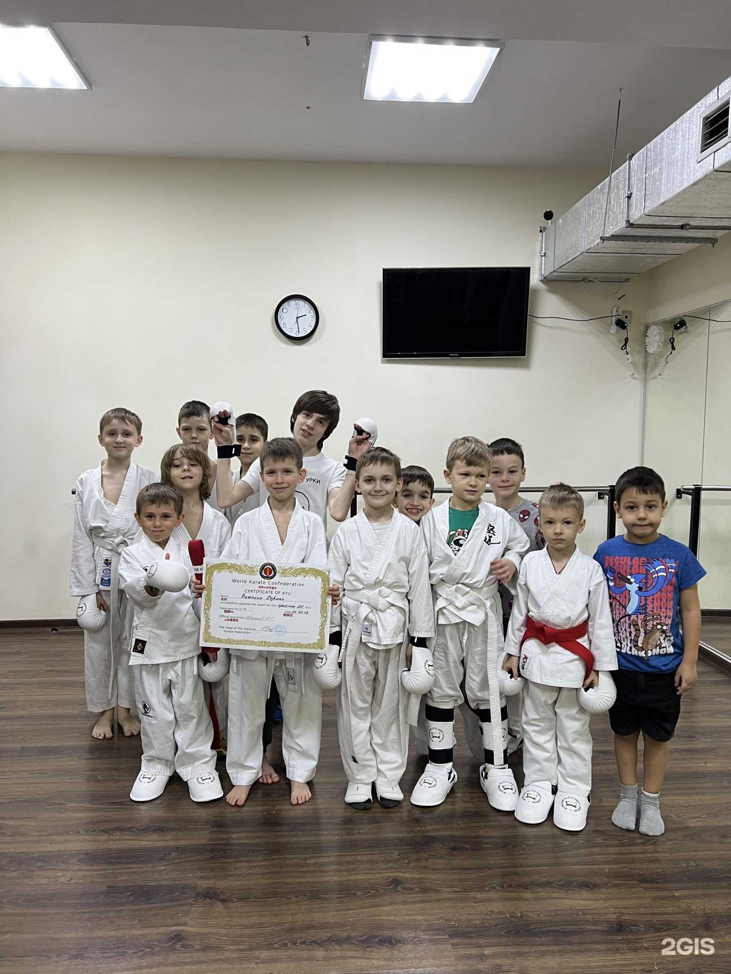 Отзывы на компанию Bushido в г. Сочи c фото