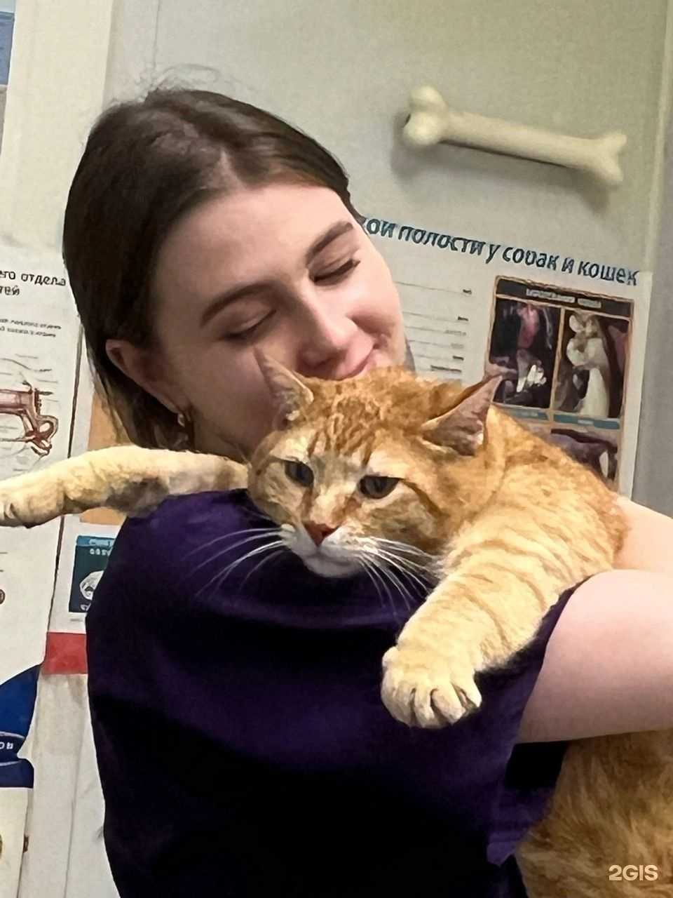 Отзывы на компанию ЭЛВЕТ в Всеволожске c фото