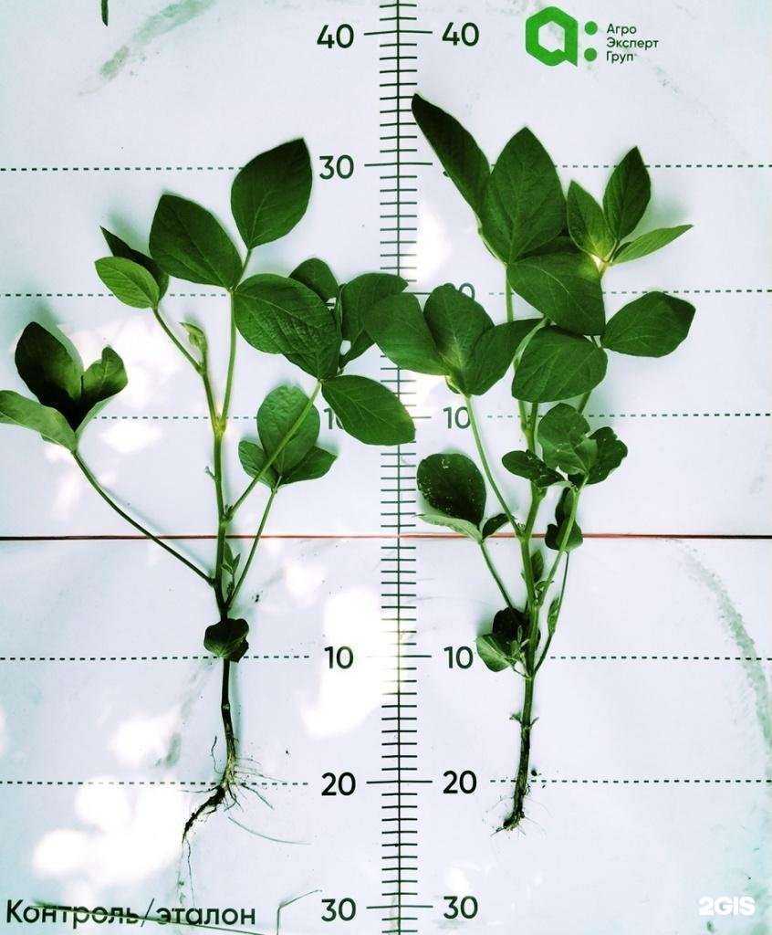 Отзывы на компанию Агро Эксперт Груп в Брянске c фото