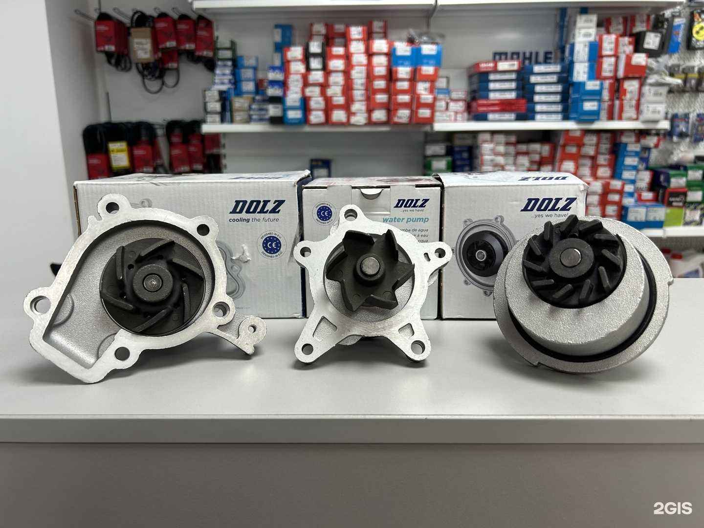 Отзывы на компанию Корея в Воронеже c фото