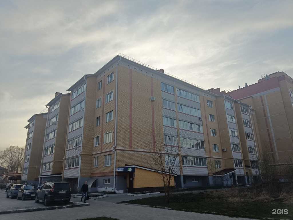 Отзывы на компанию Ludus Alliance team в Йошкар-Оле c фото - фотография 2 из 2