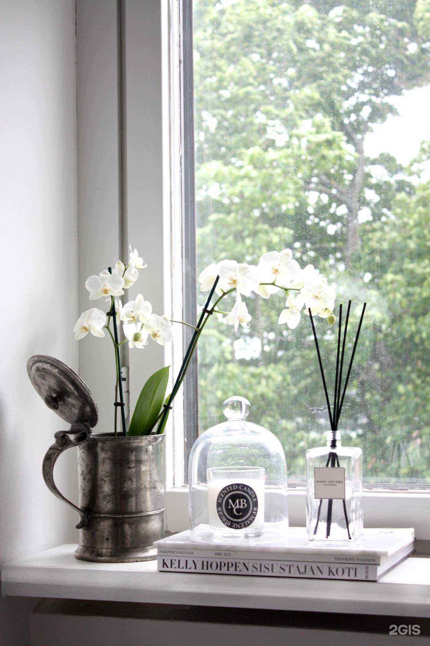 Отзывы на компанию Данке в г. Новосибирск c фото