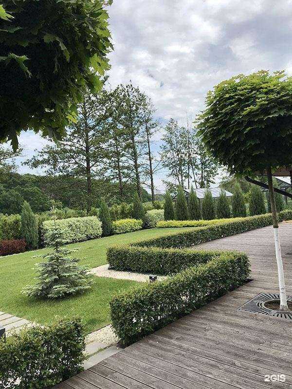 Отзывы на компанию Вишневый сад Элит в г. Воронеж c фото