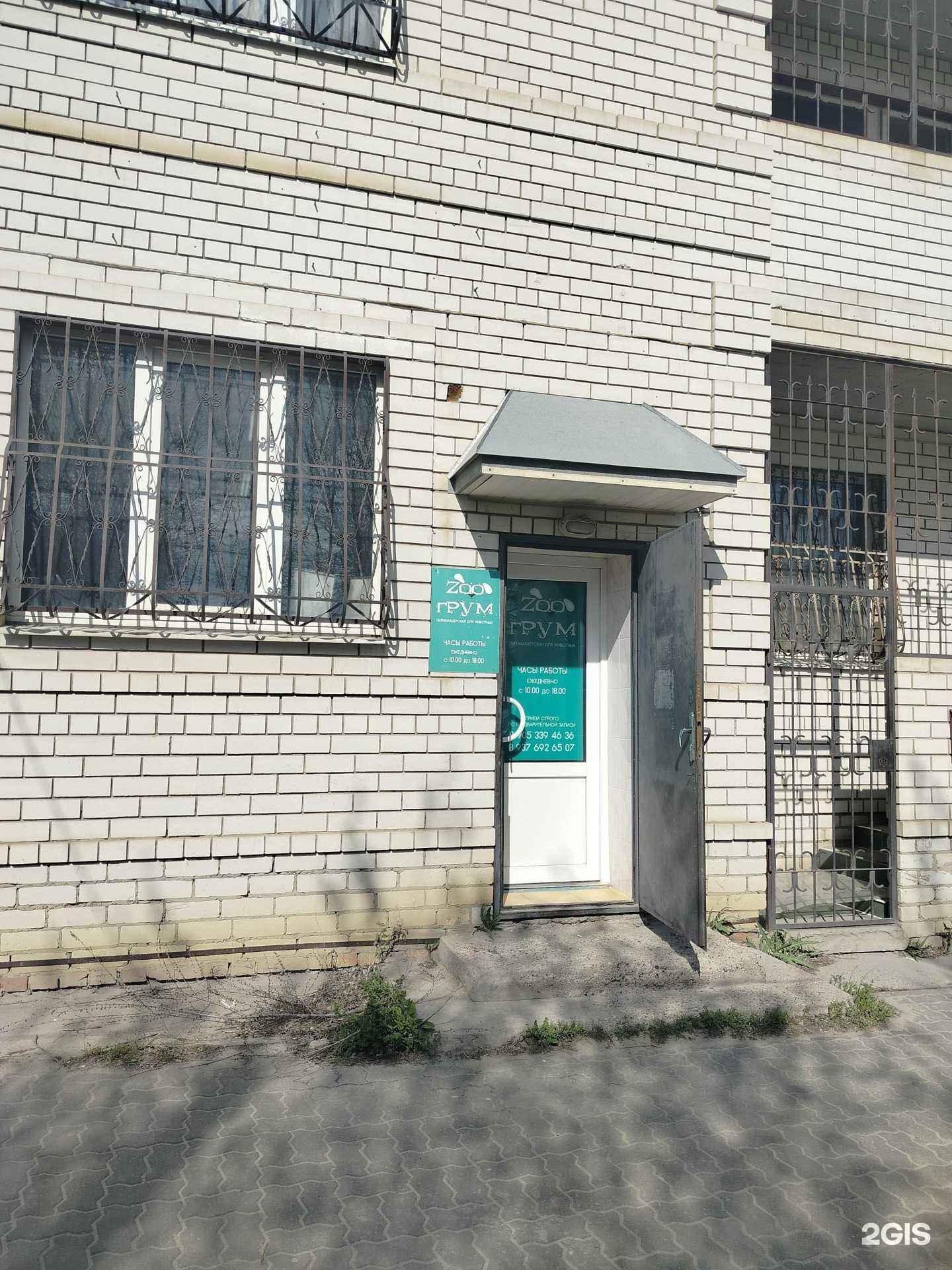 Отзывы на компанию ЗооГрум в Камышине c фото