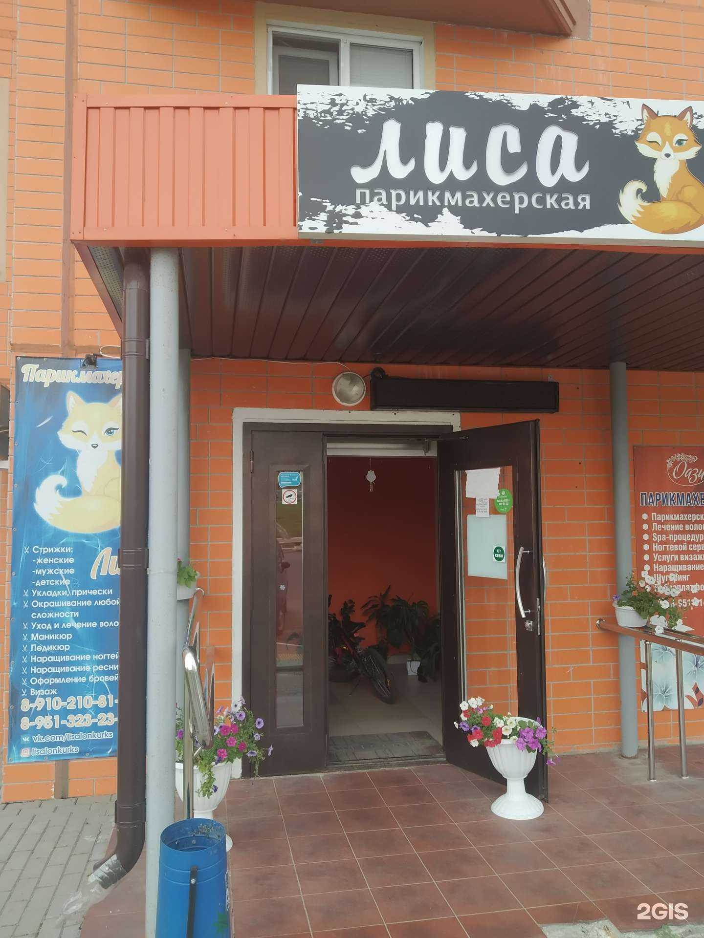 Отзывы на компанию Лиса в г. Курск c фото