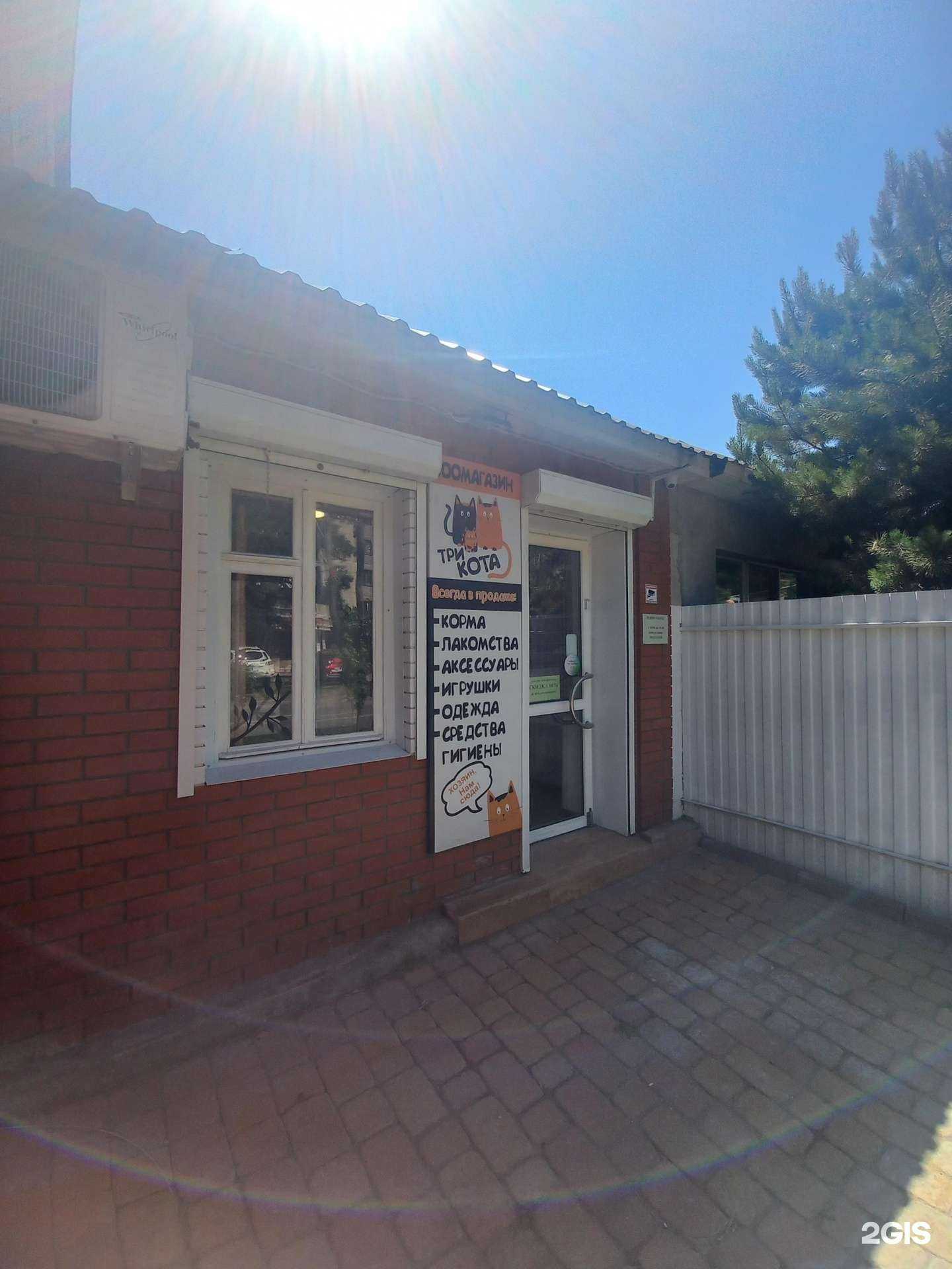 Отзывы на компанию Три Кота в Краснодаре c фото