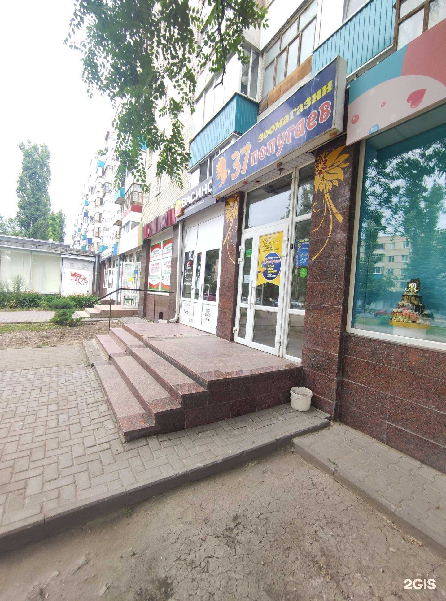 Отзывы на компанию 37 попугаев в Балакове c фото