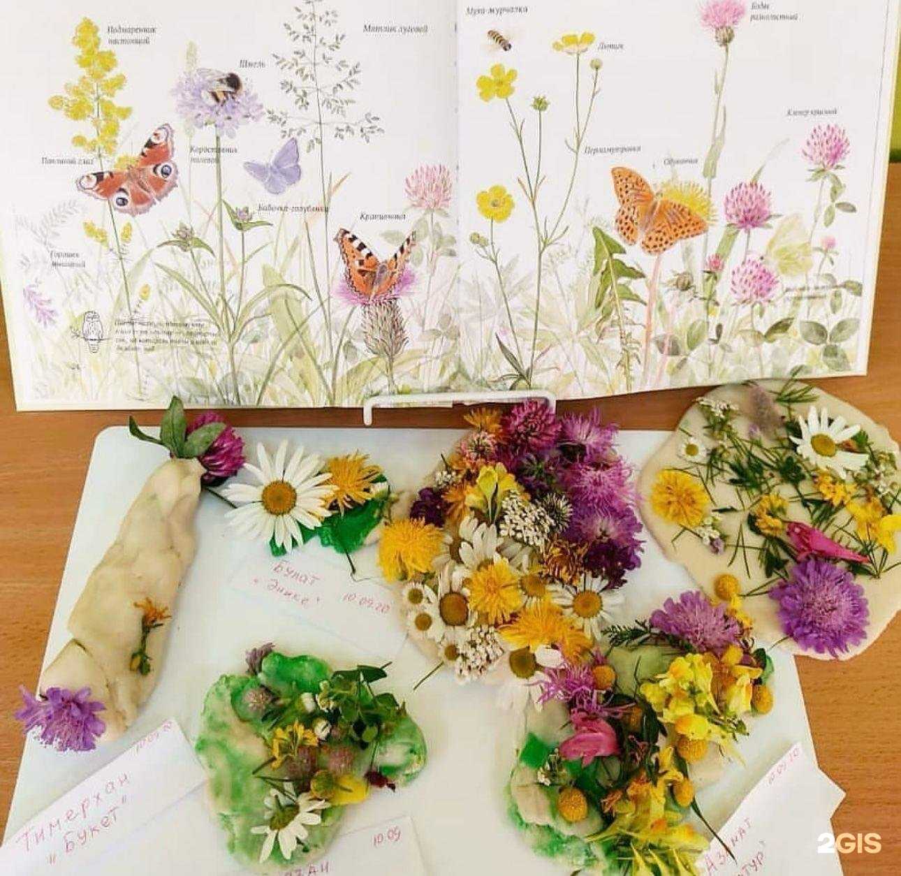 Отзывы на компанию Акыллым в г. Казань c фото