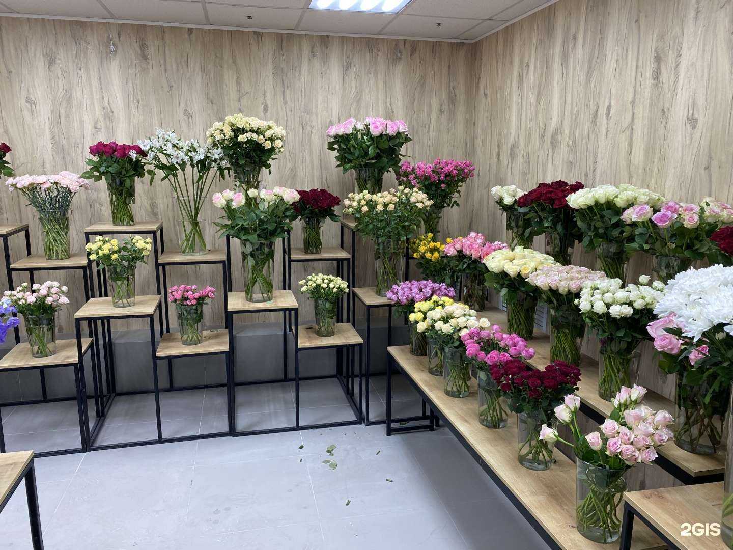 Отзывы на компанию Iris в г. Тула c фото