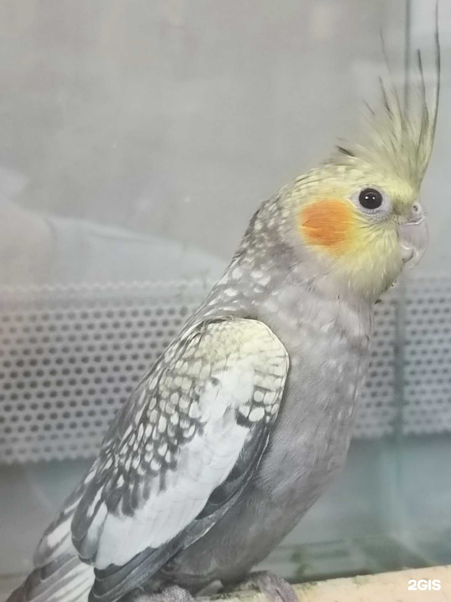 Отзывы на компанию Джунгли в Ростове-на-Дону c фото